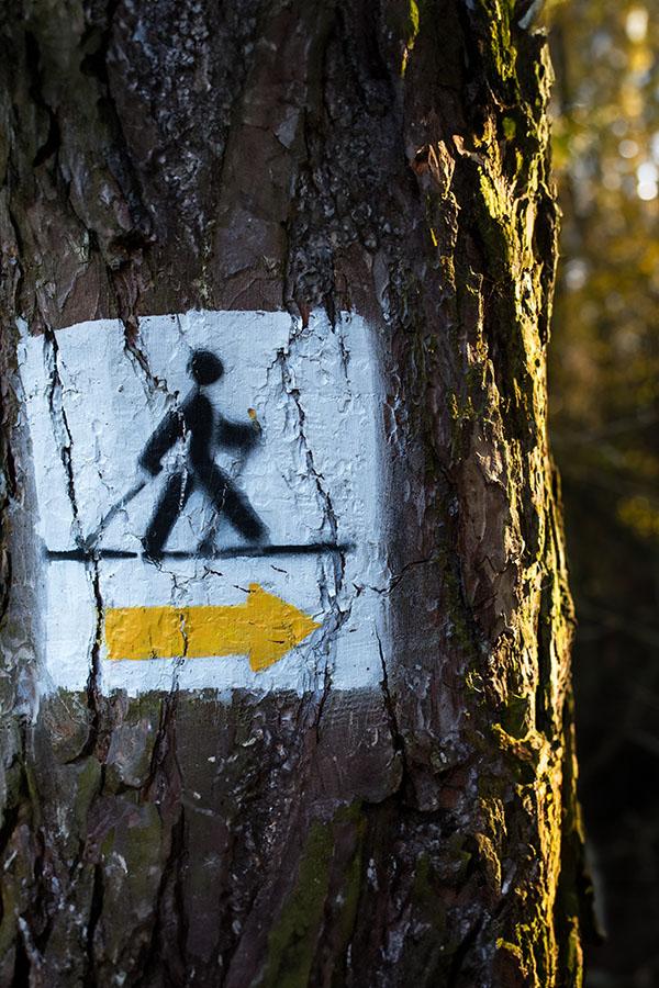 V rekreačních oblastech kolem měst přibývá tras připravených pro milovníky nordic walkingu