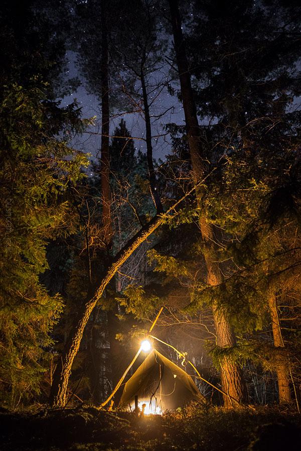Státní lesy vymezily oblasti, kde lze zcela legálně provozovat bushcraft.