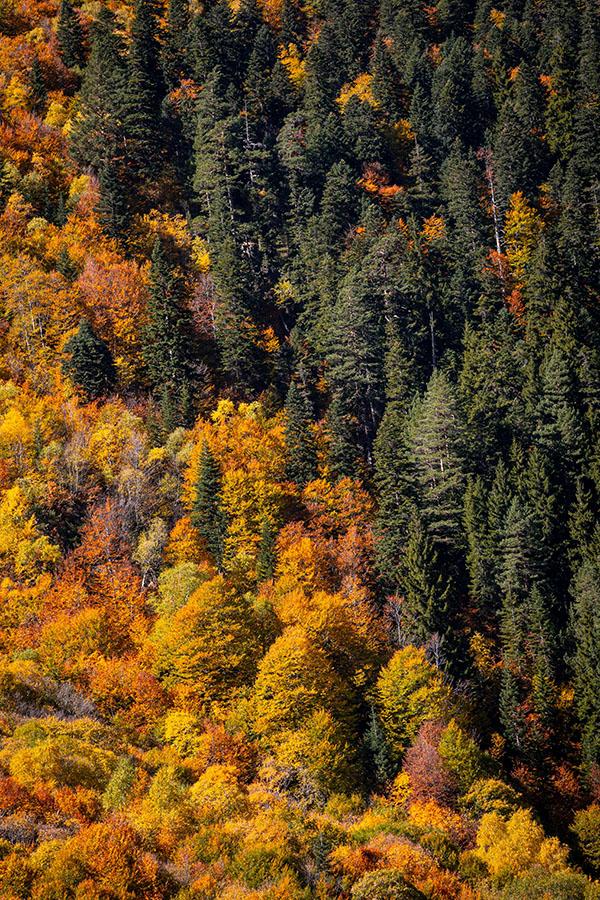 Podzim v horách je nejbarevnějším obdobím roku, ale vhodně se obléct může být určitou výzvou.
