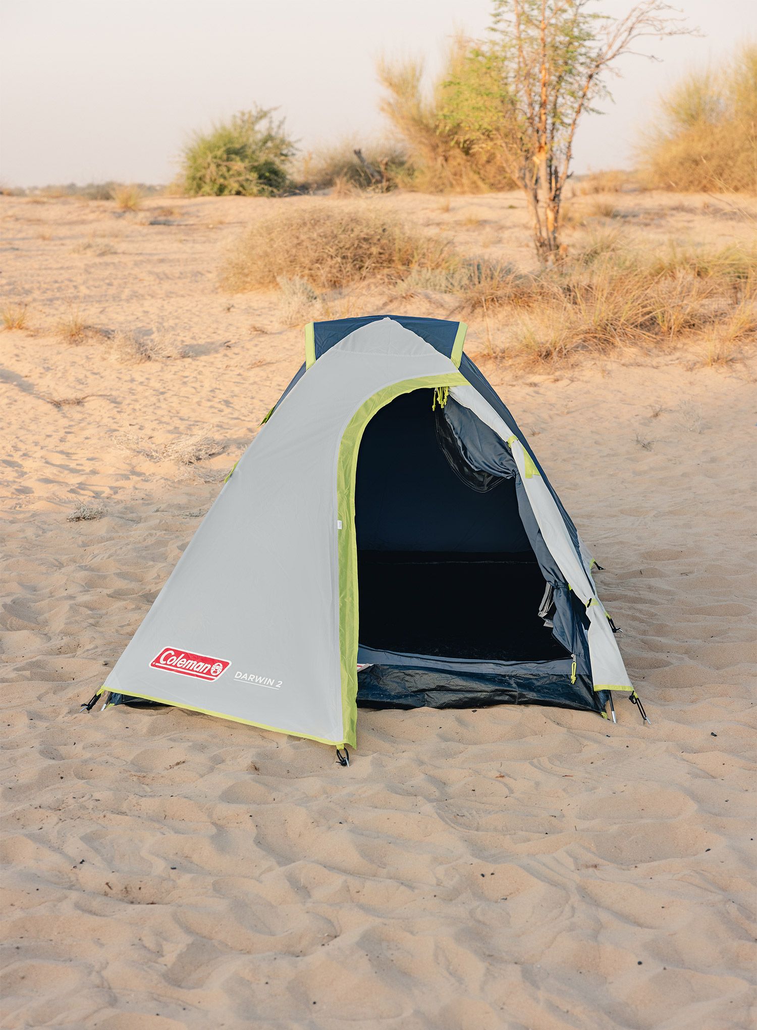 Stan pro 2 Coleman Darwin 2 - grey
