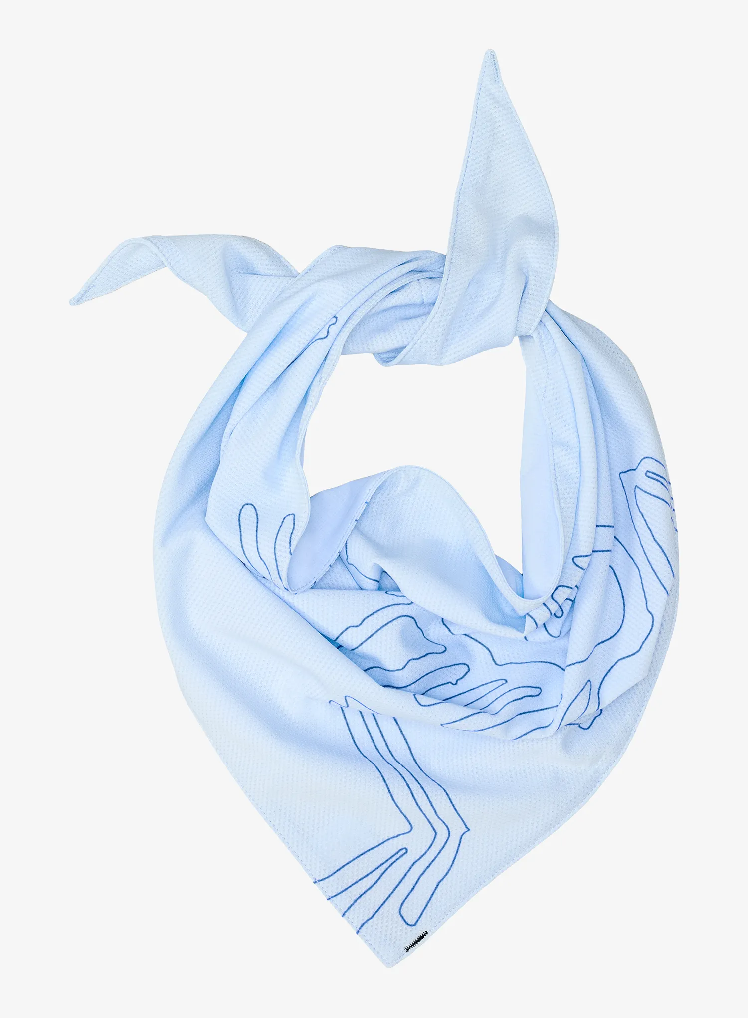 qweArcteryxSinsoloBandanaalpineblue623555791577a.webp