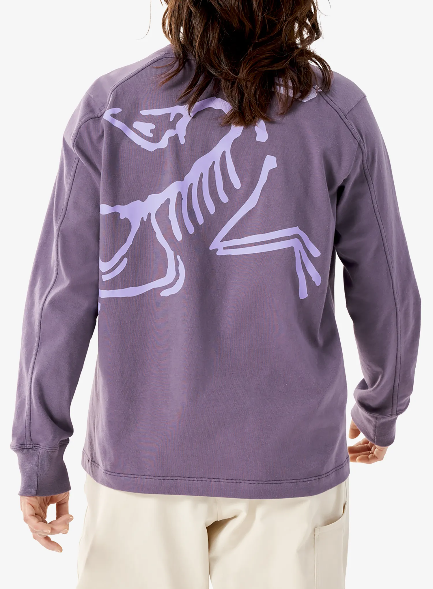Dámská mikina Arcteryx Kragg Cotton Bird Crew LS - lt moondrop
