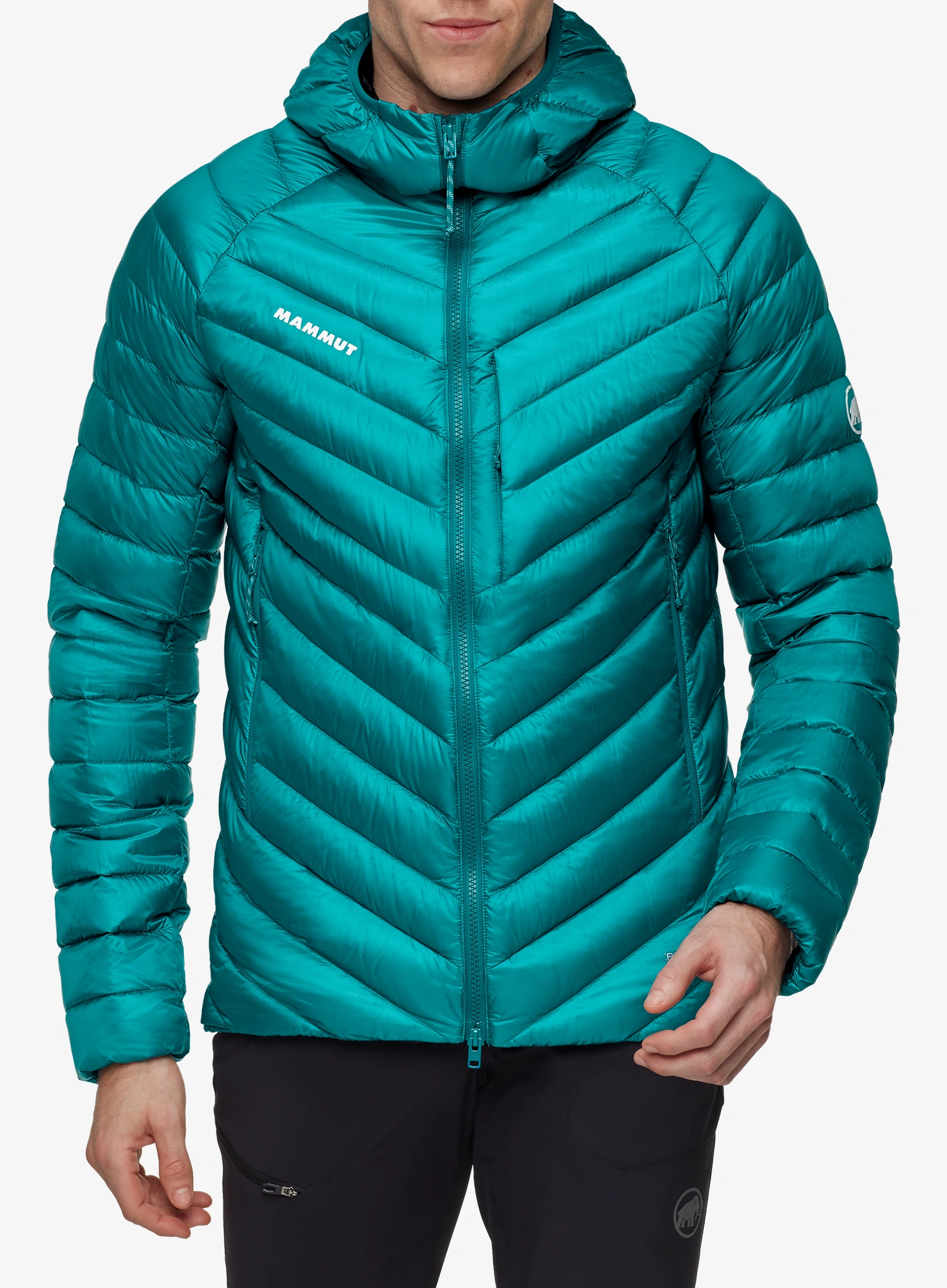 qweMammutBroadPeakINHoodedJacketdeeptealblack7619876795359a.webp
