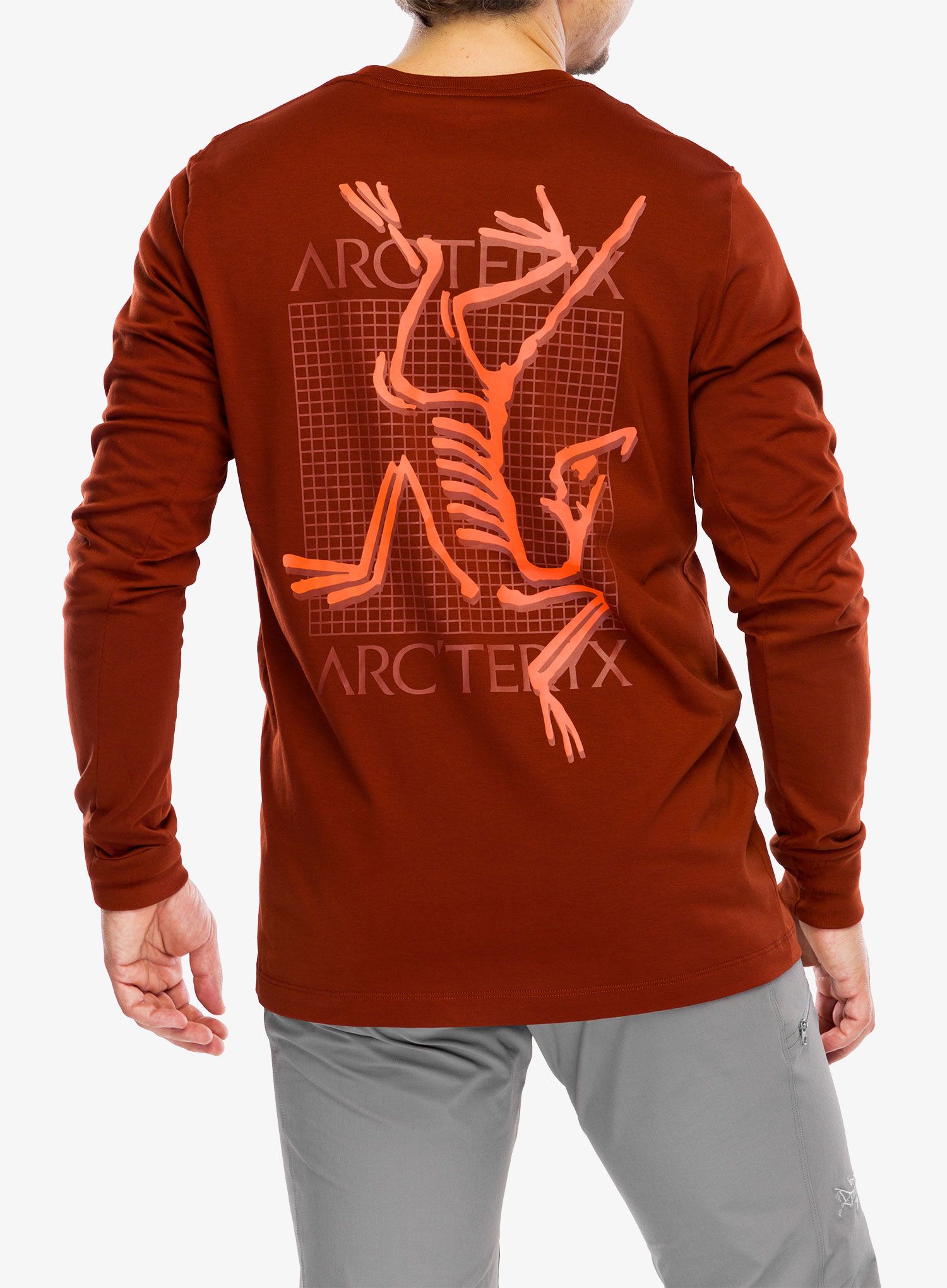 Longsleeve Arcteryx ArcMulti Bird Logo Shirt LS - sequoia/solaris