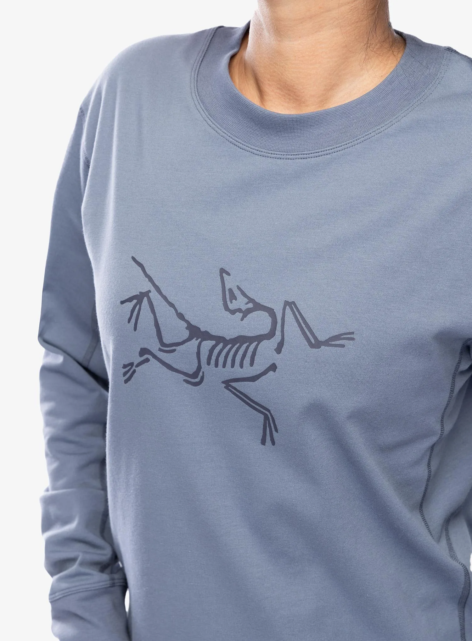 Dámské triko s dlouhým rukávem Arcteryx Archaeopteryx Logo LS - stratus/dk stratus
