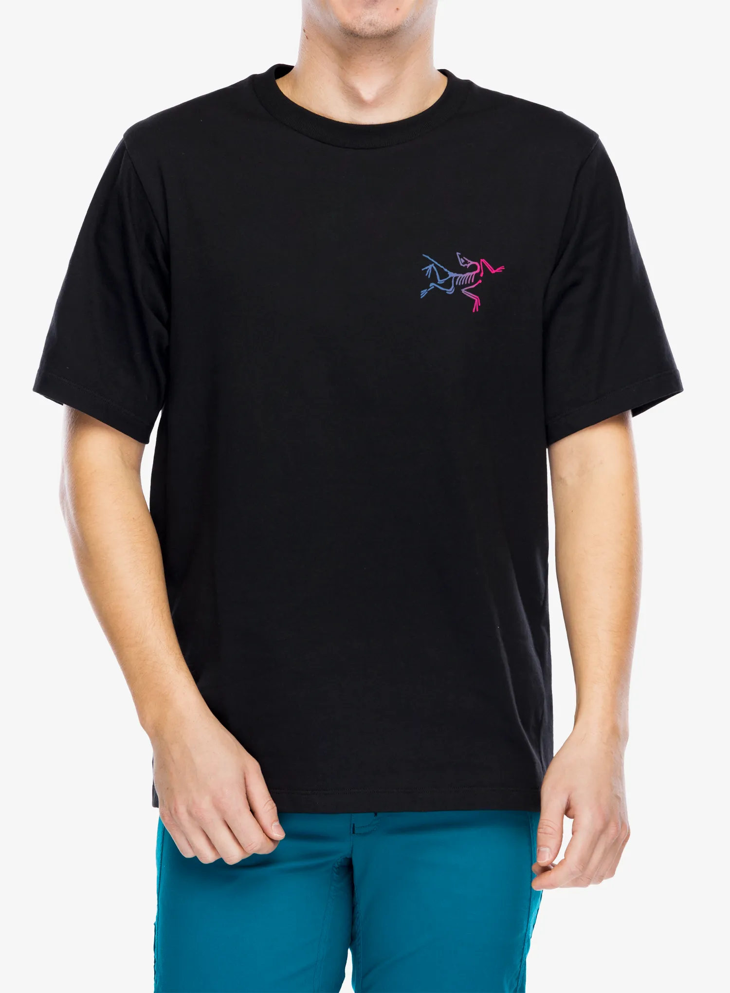 Bavlněné tričko Arcteryx Kragg Cotton Logo SS - black/multi