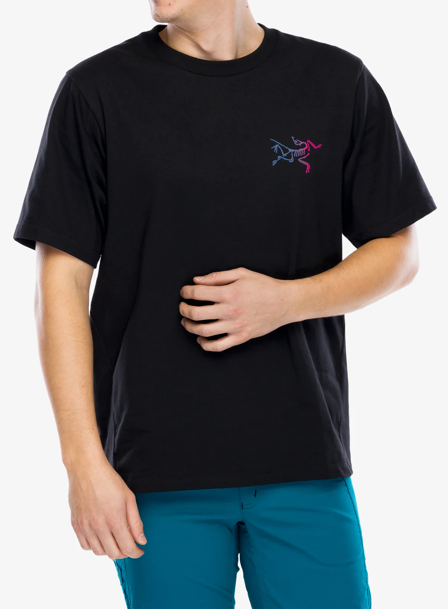 Bavlněné tričko Arcteryx Kragg Cotton Logo SS - black/multi