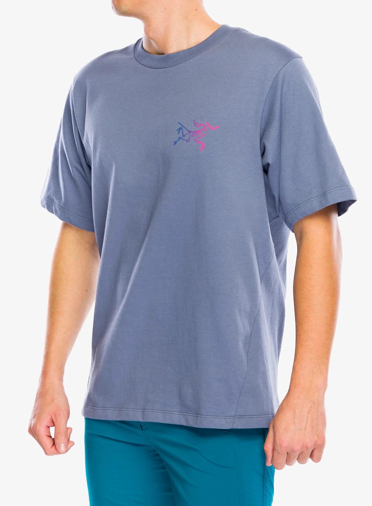 Bavlněné tričko Arcteryx Kragg Cotton Logo SS - stratus/multi