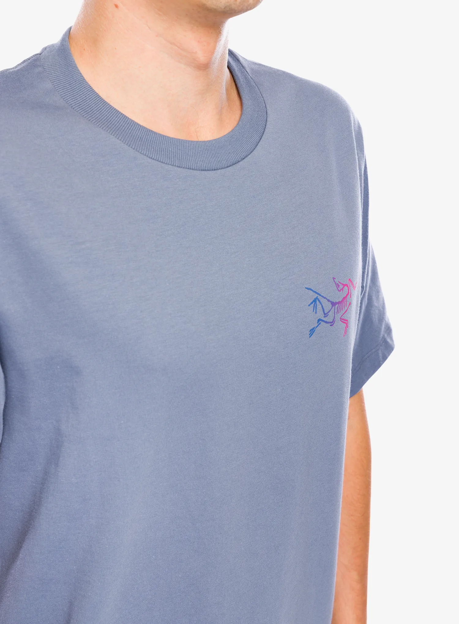 Bavlněné tričko Arcteryx Kragg Cotton Logo SS - stratus/multi