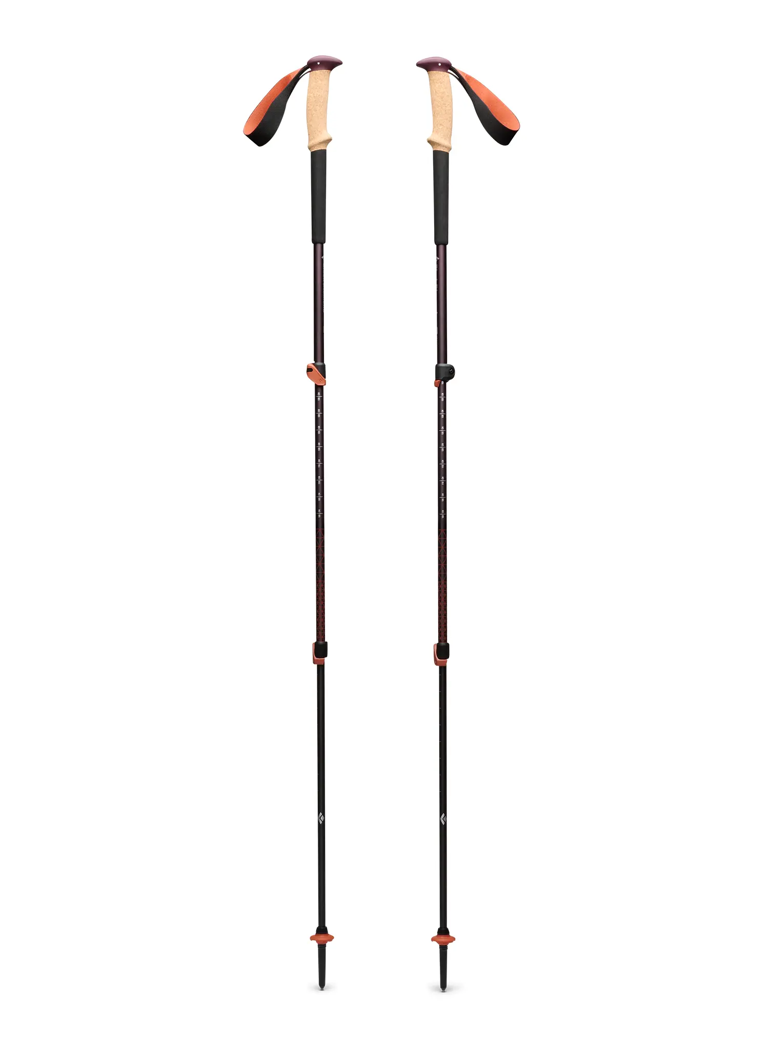 Trekové hole Black Diamond Trail Cork Trekking Poles - fig