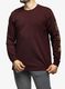 Tričko s dlouhým rukávem Carhartt Sleeve Logo T-Shirt L/S - port