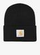 Čepice Carhartt Watch Hat - black