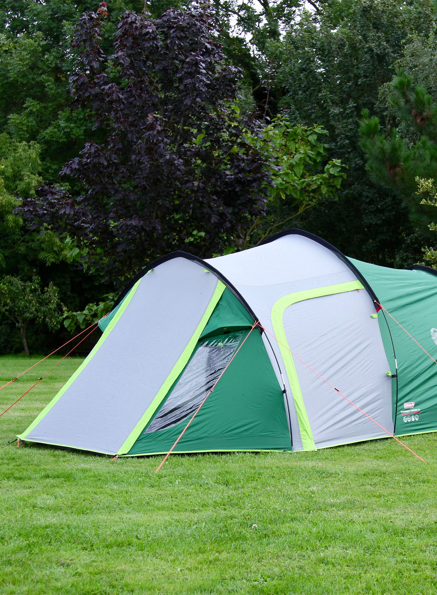 Stan pro 3 Coleman Chimney Rock 3 Plus