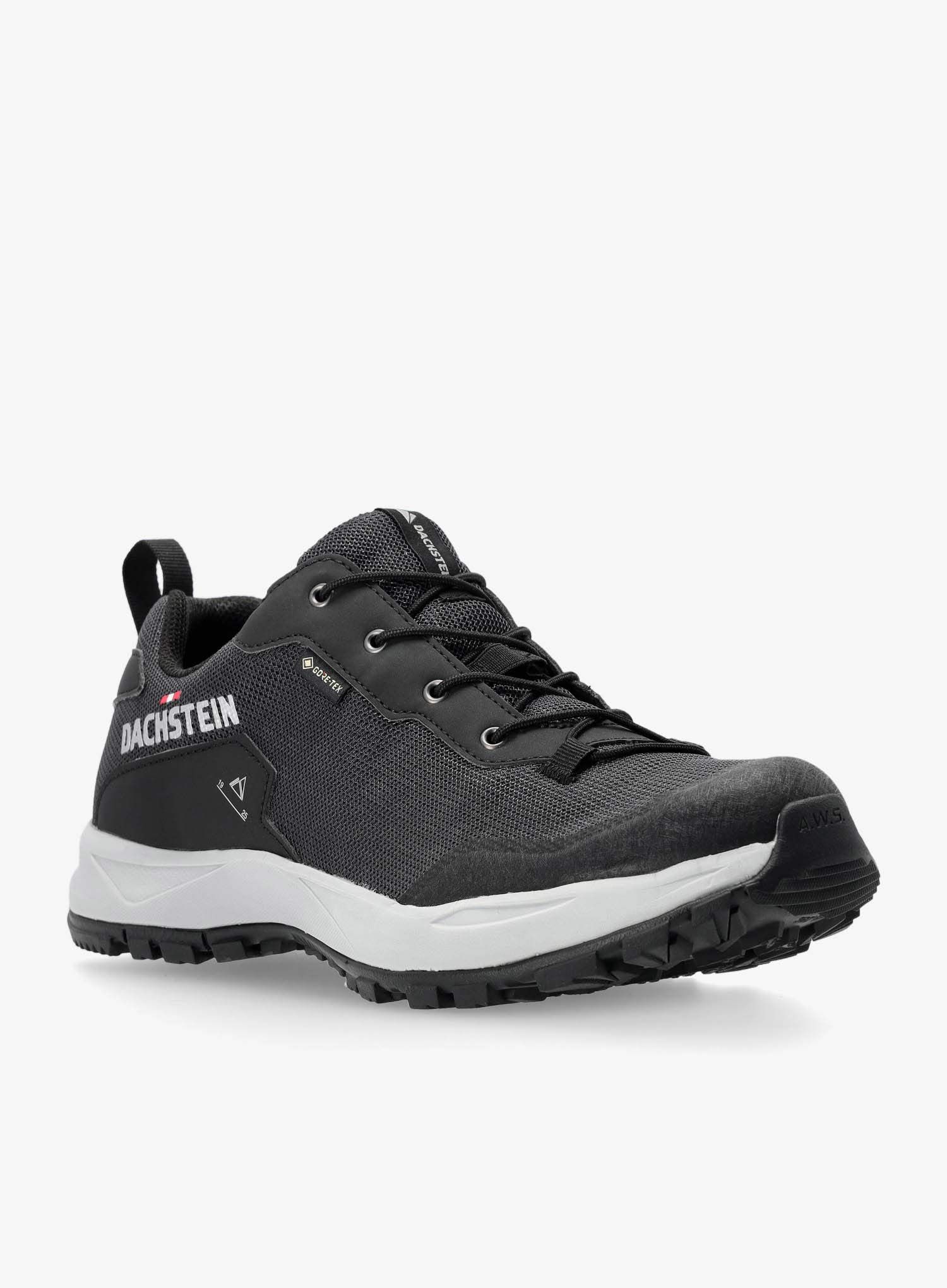 Trailové boty Dachstein Delta Ascent GTX - black