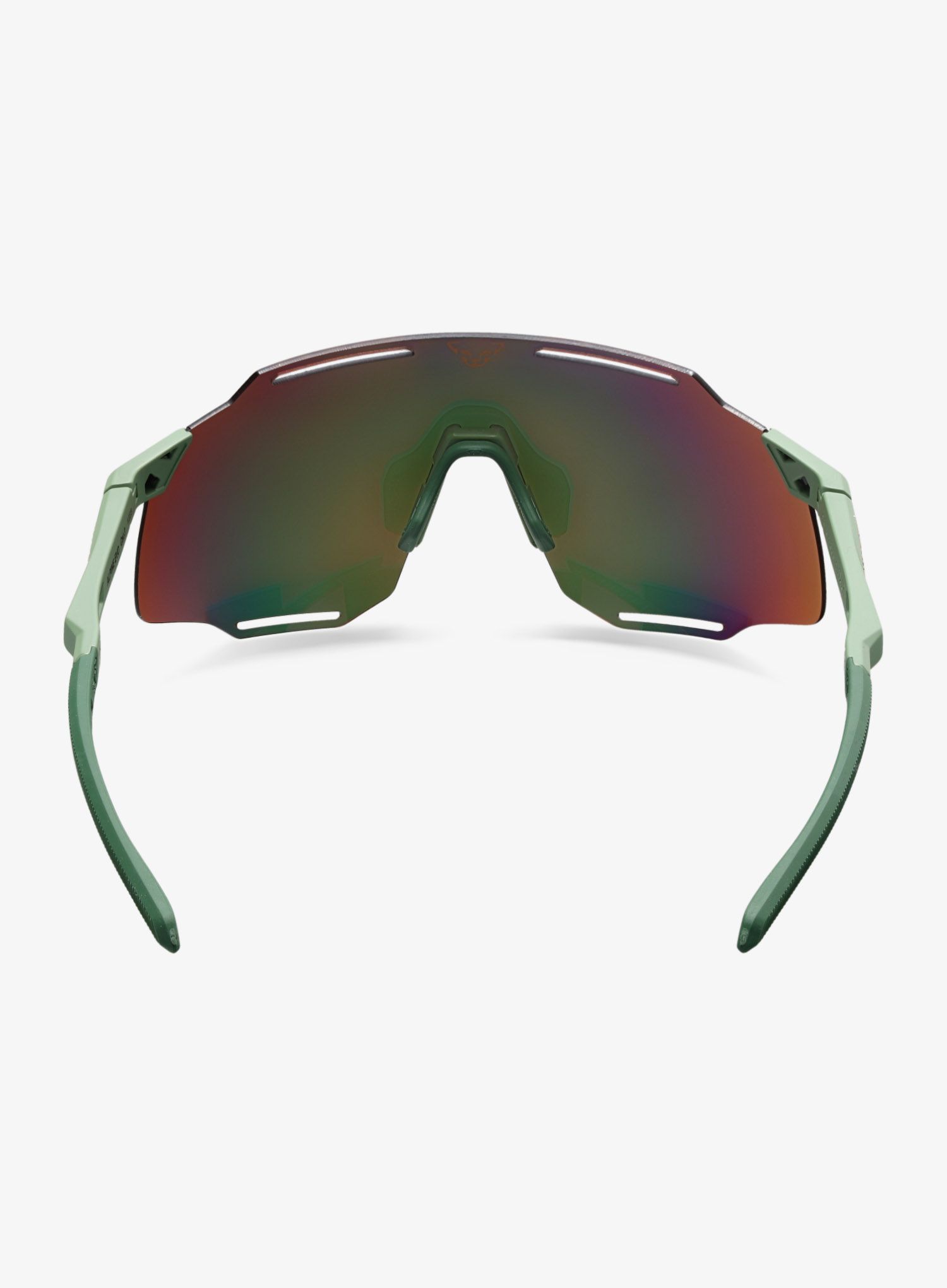 Sluneční brýle Dynafit Alpine Evo Sunglasses - sage/thyme