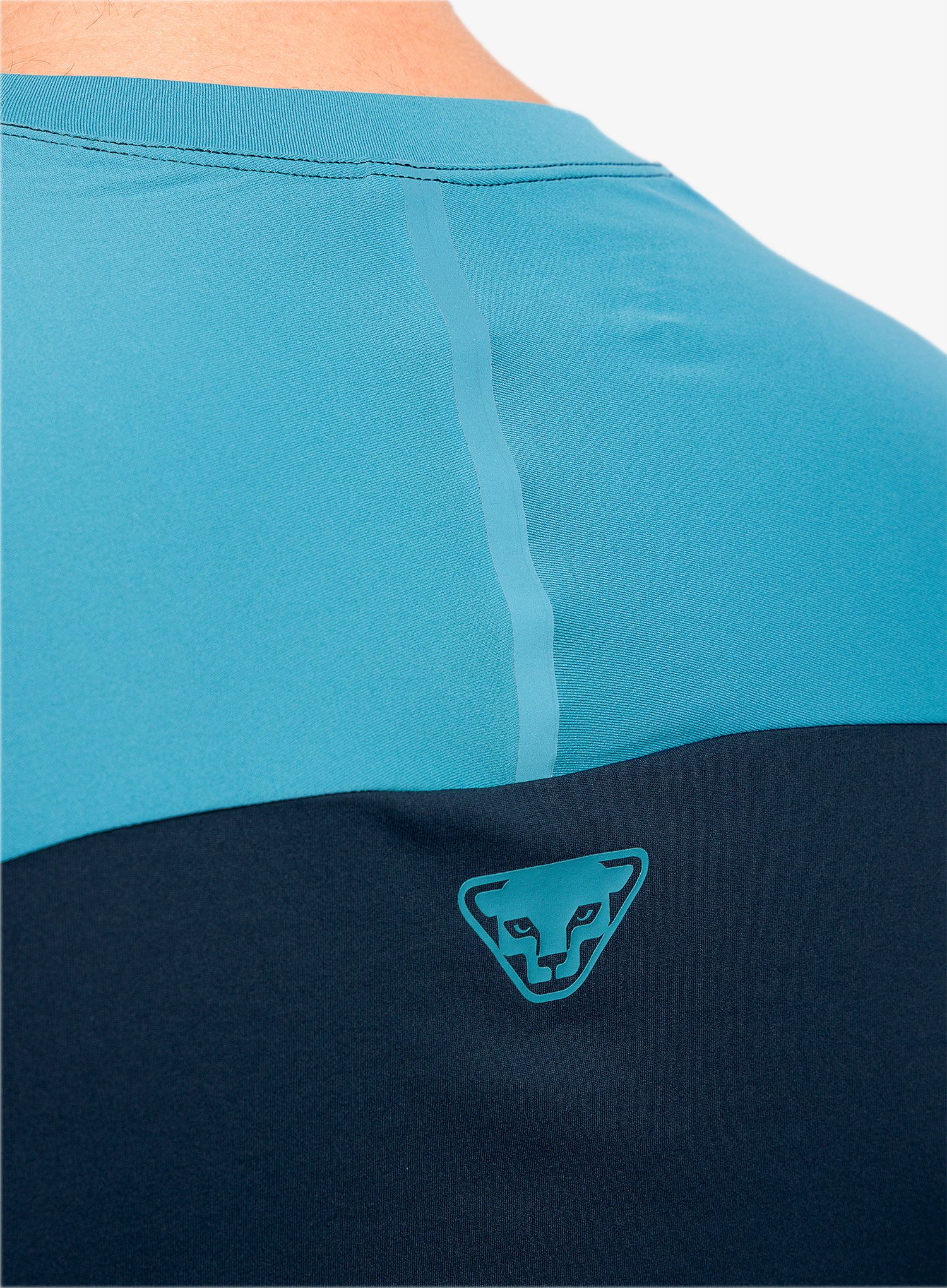 Běžecká mikina Dynafit Alpine Pro Longsleeve - blueberry/storm blue