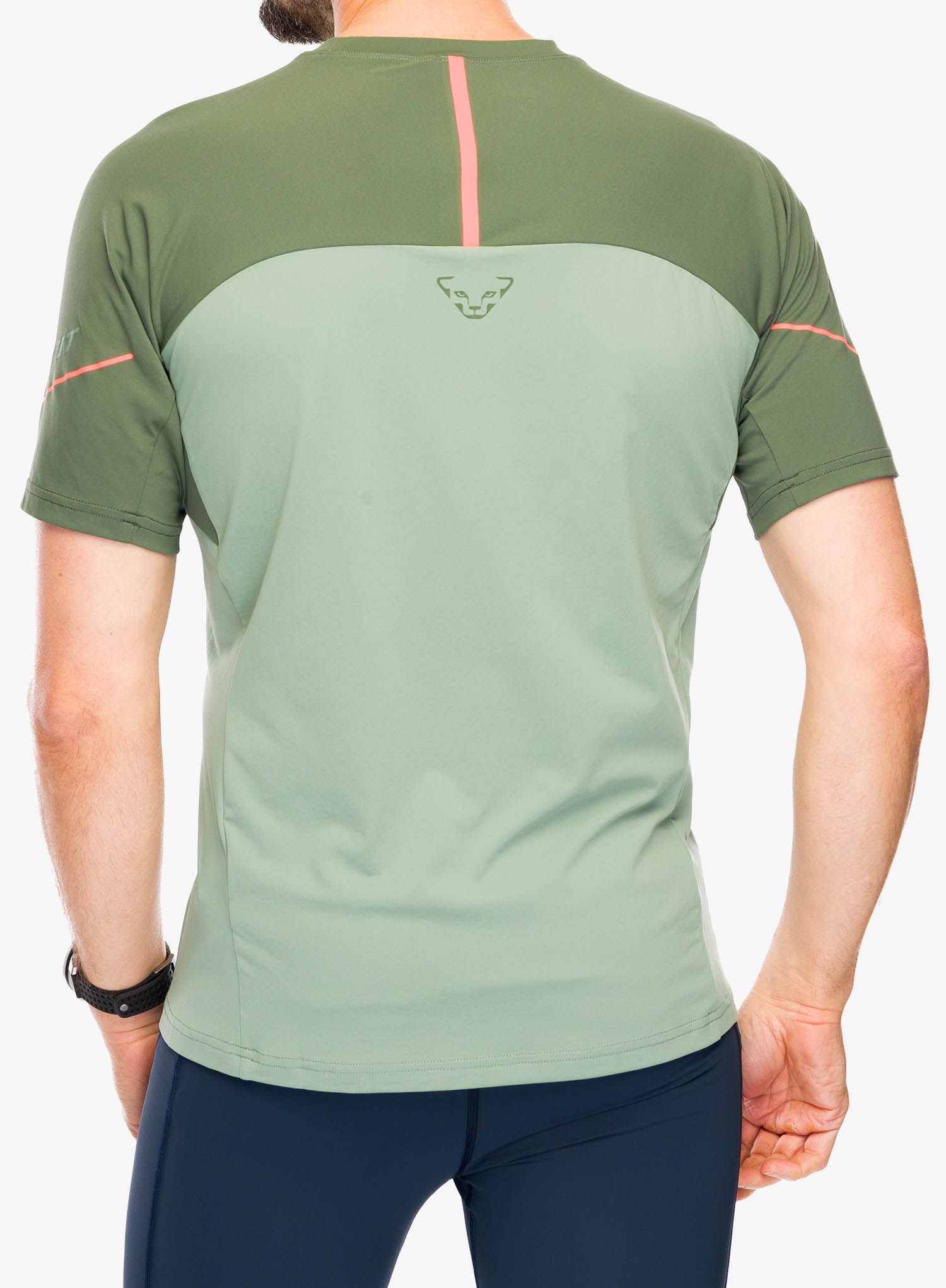 Rychleschnoucí triko Dynafit Alpine Pro S/S Tee - sage