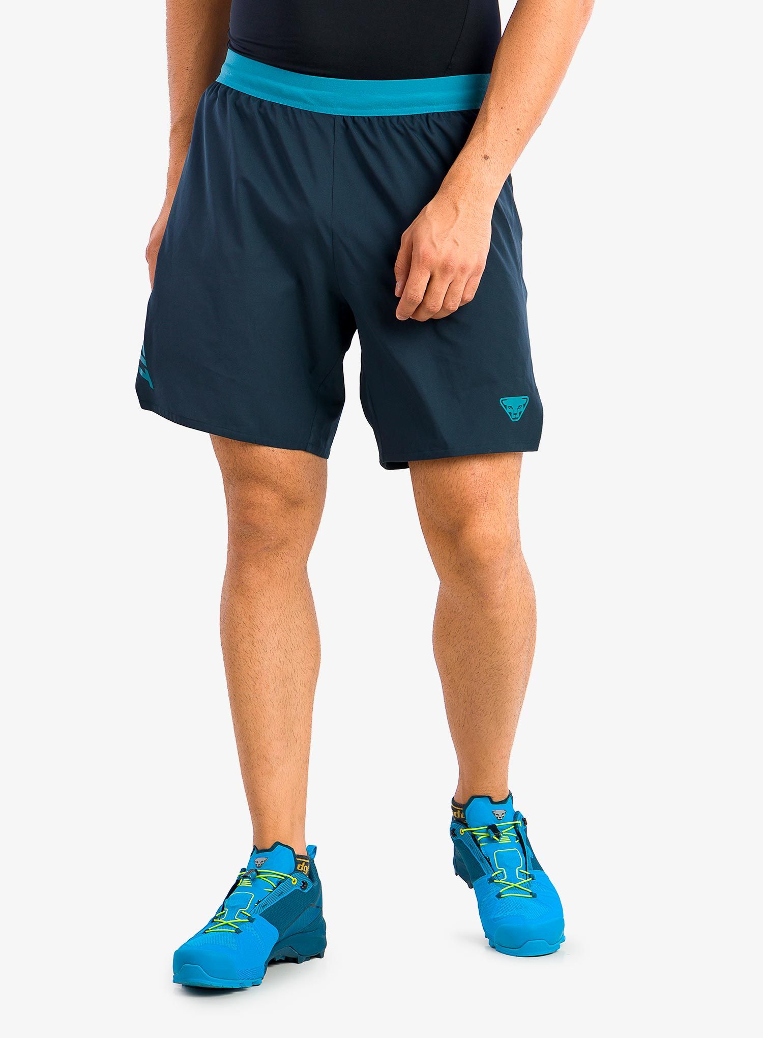Běžecké kraťasy Dynafit Alpine Shorts - blueberry storm blue