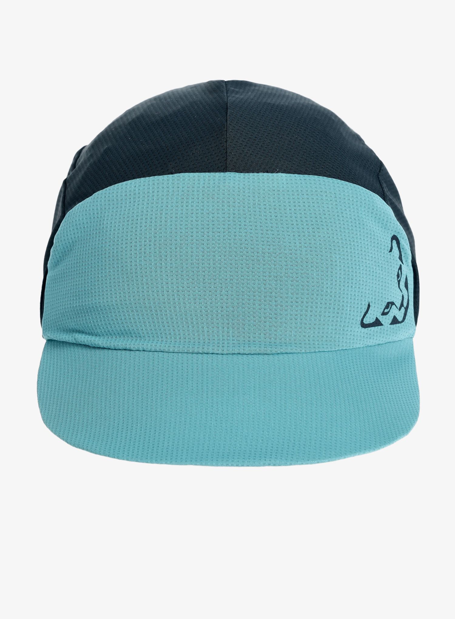 Kšiltovka Dynafit Alpine Visor Cap  - storm blue