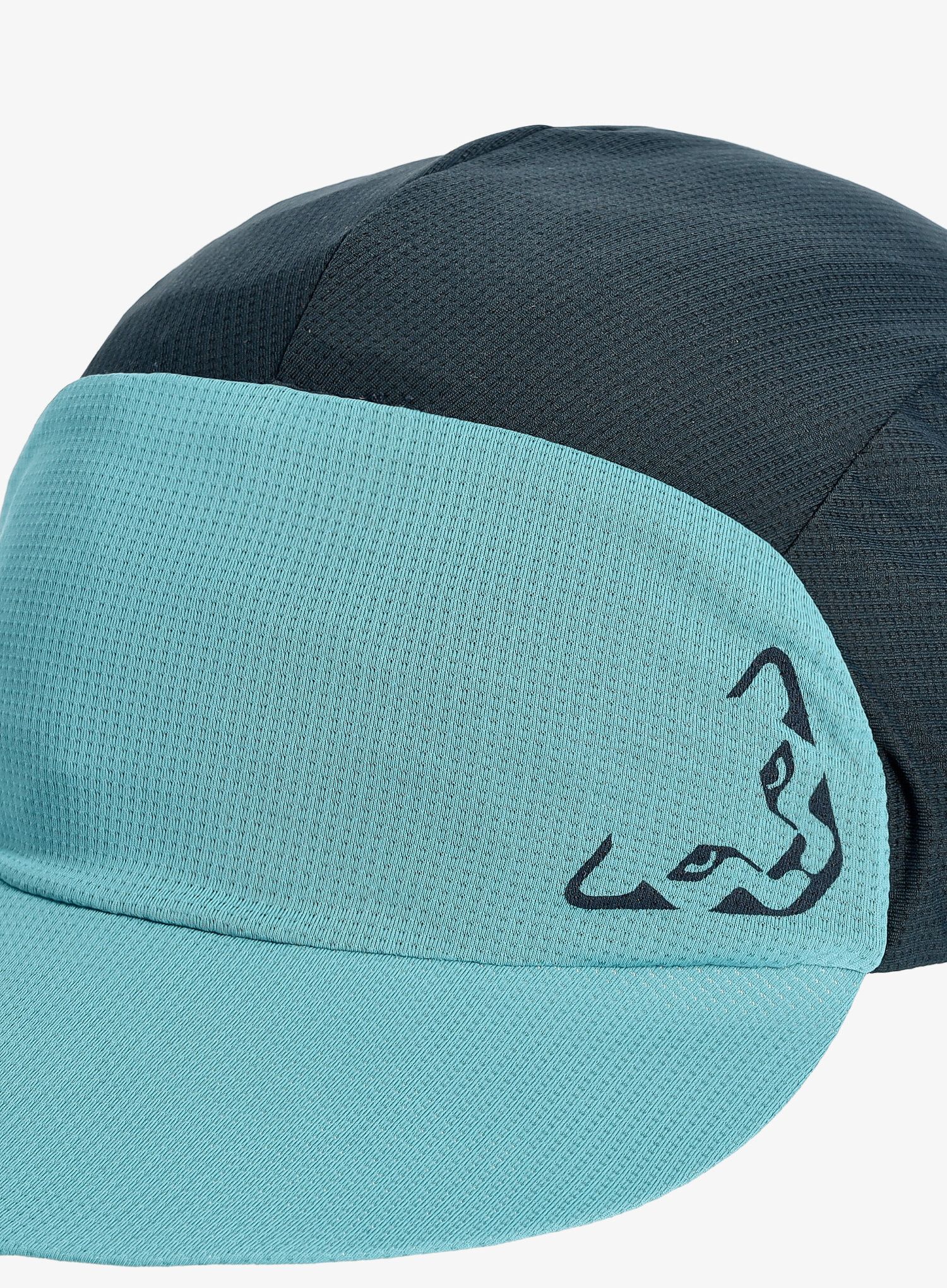 Kšiltovka Dynafit Alpine Visor Cap  - storm blue