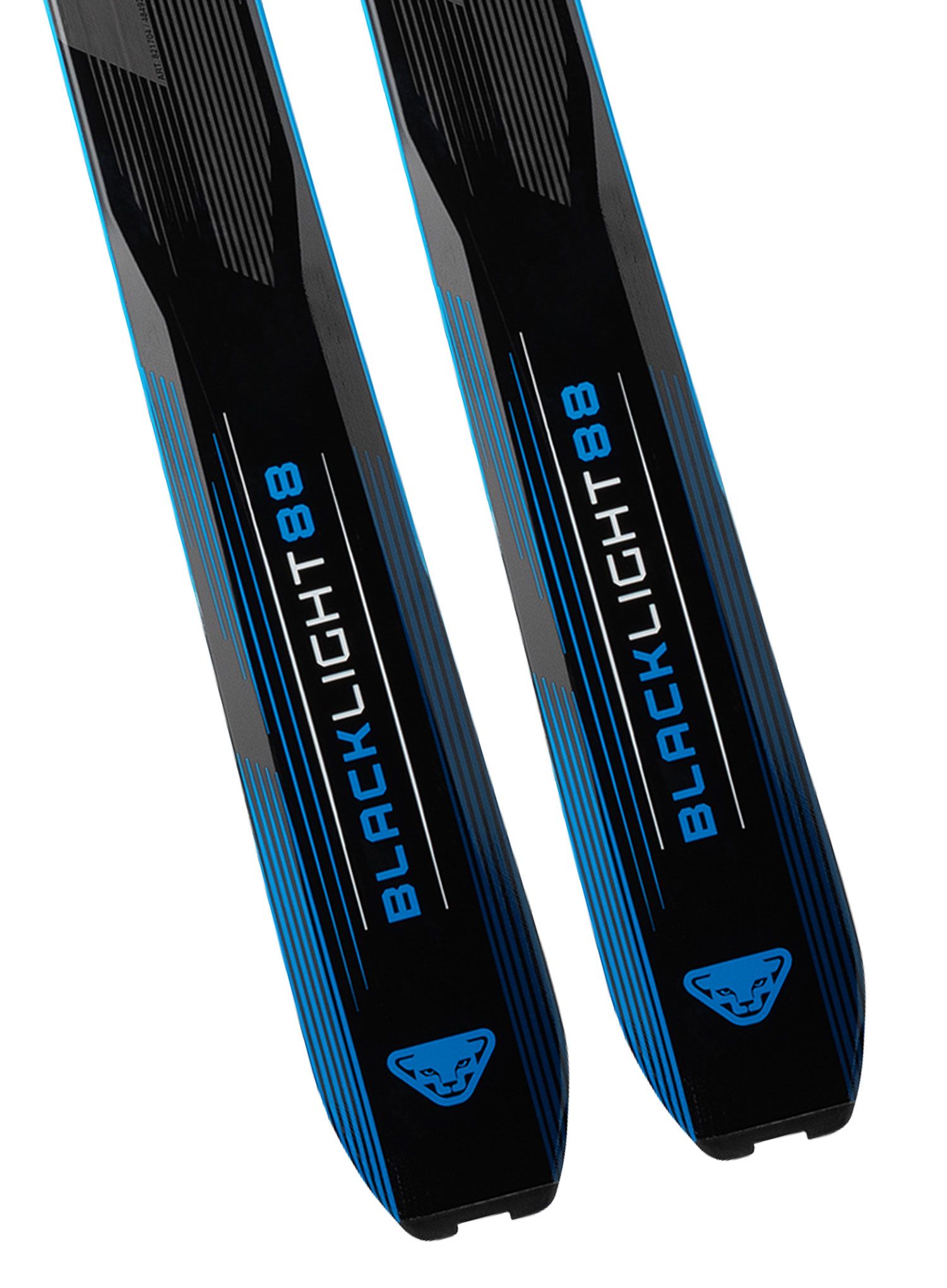 Skialpinistické lyže Dynafit Blacklight 88 - black/blue