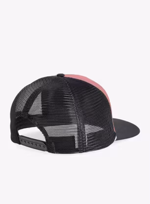 Kšiltovka Dynafit Graphic Trucker Cap - dark rose/tabloid