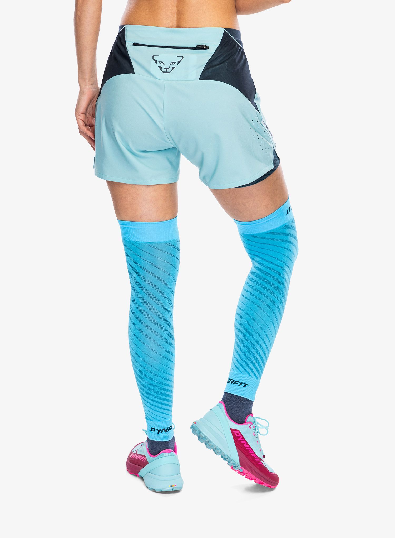 Běžecké lýtkové pásky Dynafit Performance Knee Guard - frost