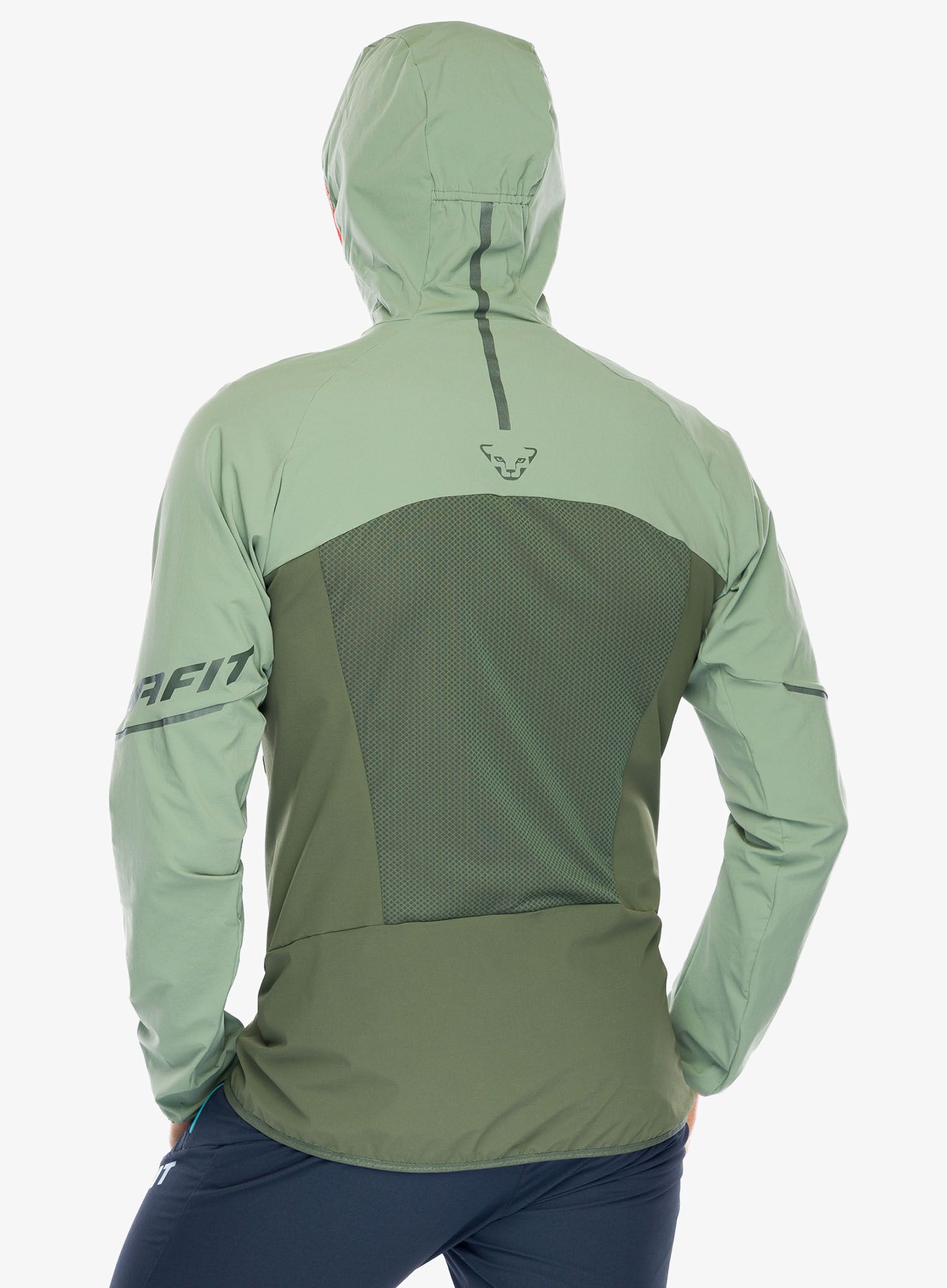 Softshellová bunda Dynafit Transalper DST Jacket - sage