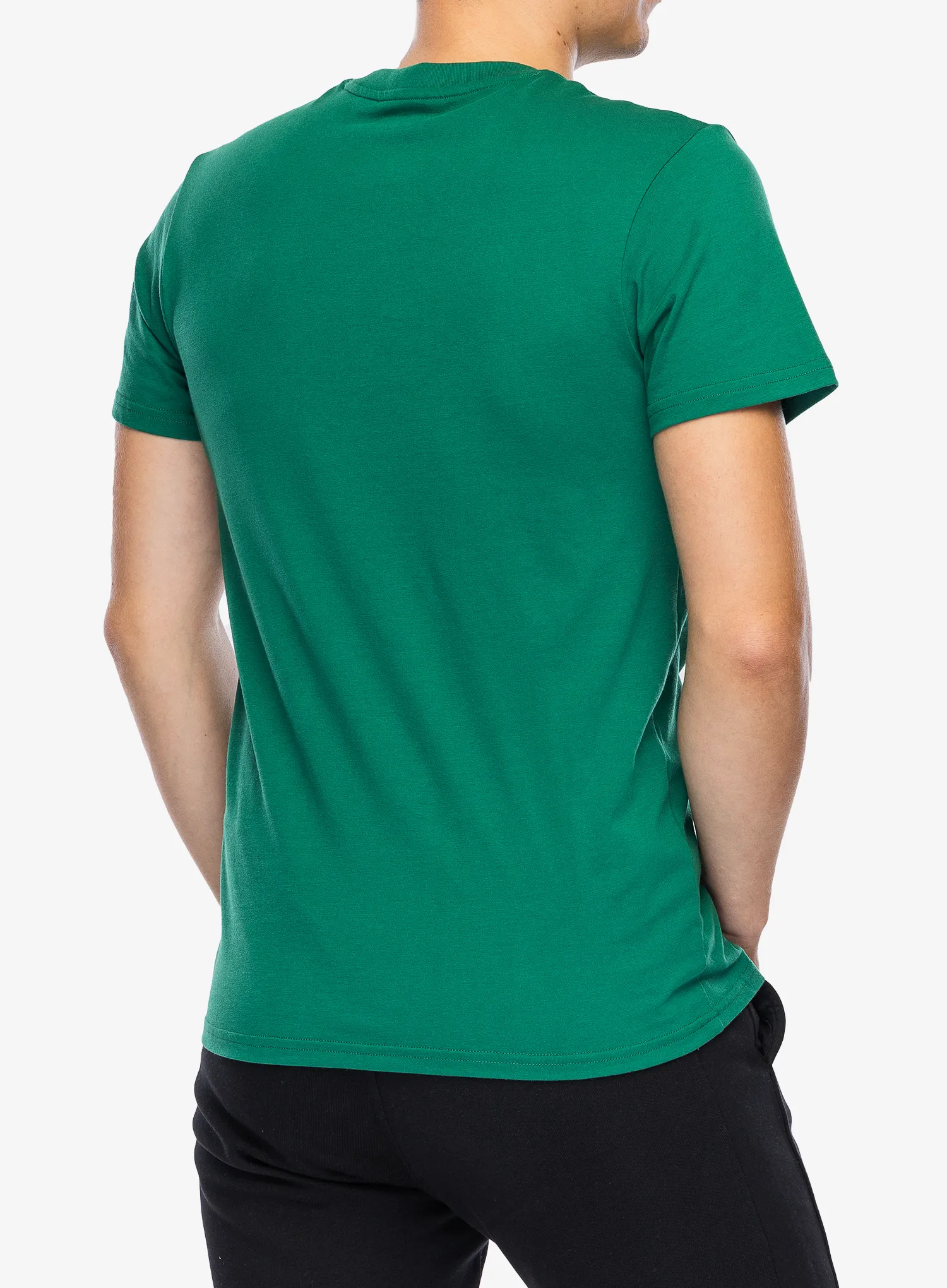 Tričko s potiskem Helly Hansen Nord Graphic T-Shirt - malachite