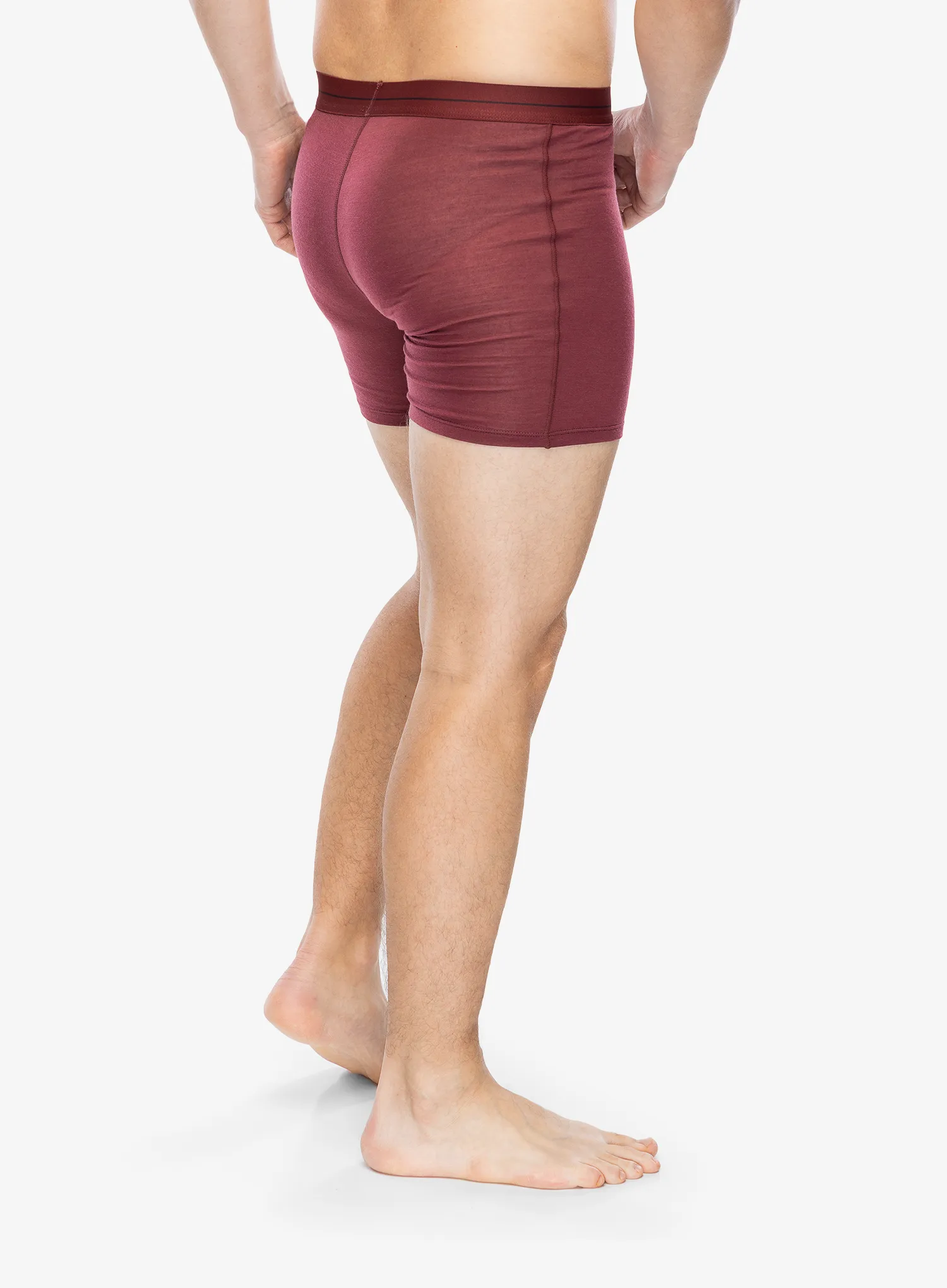 Funkční boxerky Icebreaker Anatomica Boxers - port