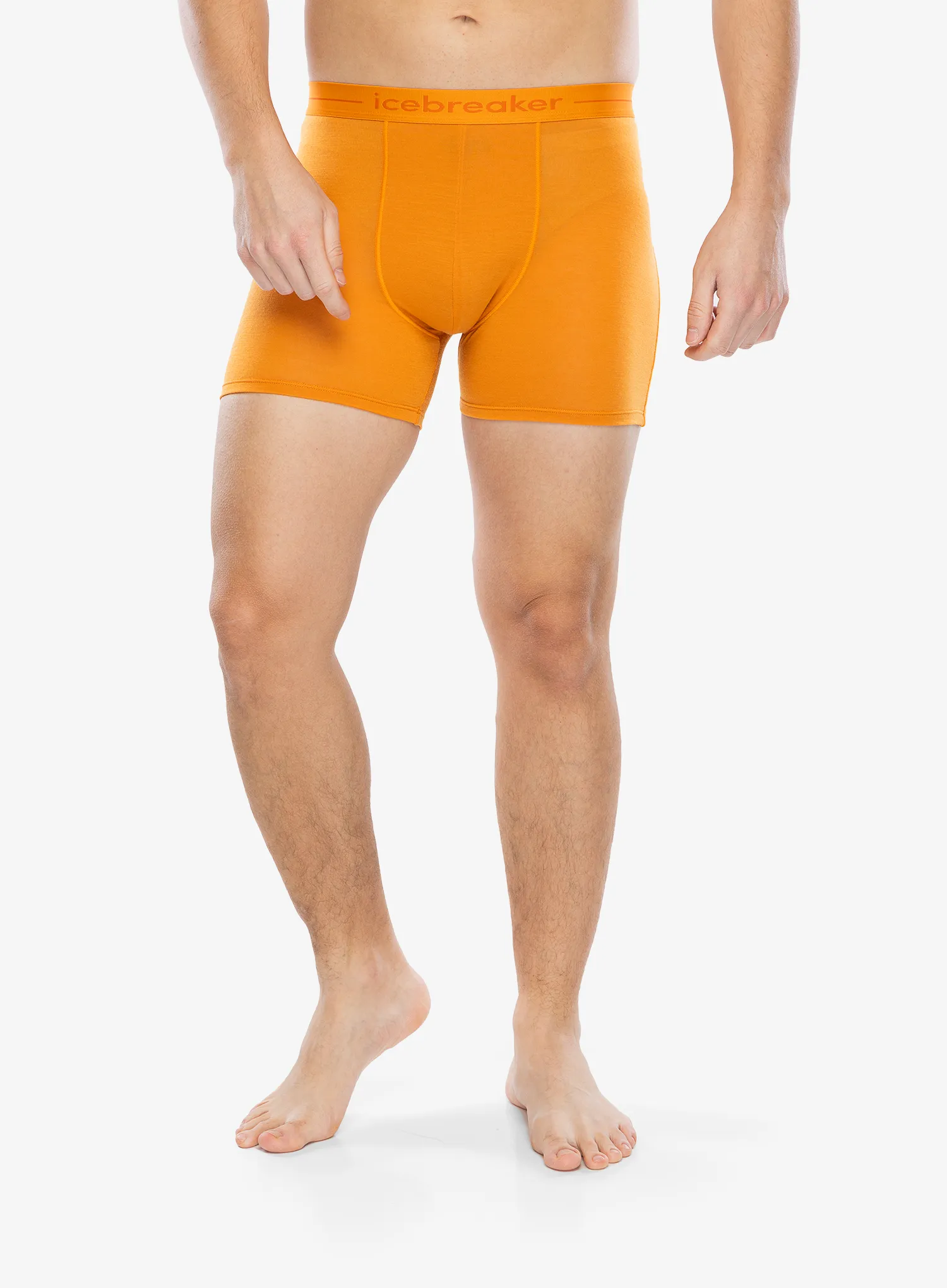 Funkční boxerky Icebreaker Anatomica Boxers - ray