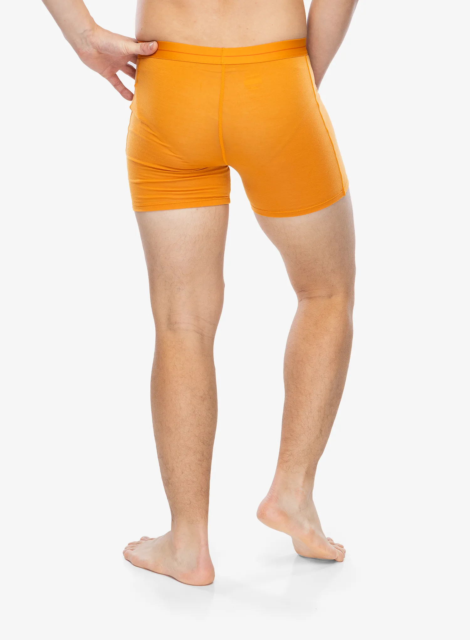 Funkční boxerky Icebreaker Anatomica Boxers - ray