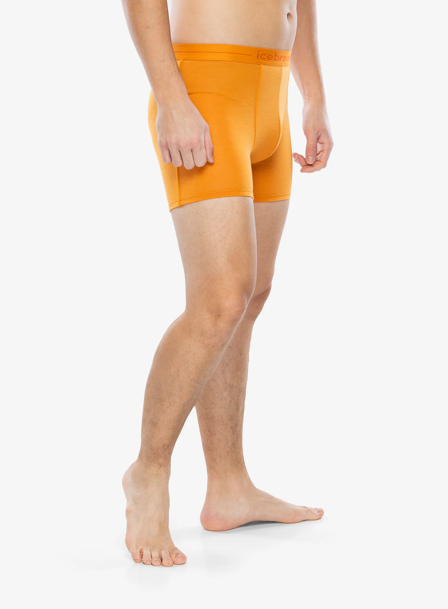 Funkční boxerky Icebreaker Anatomica Boxers - ray