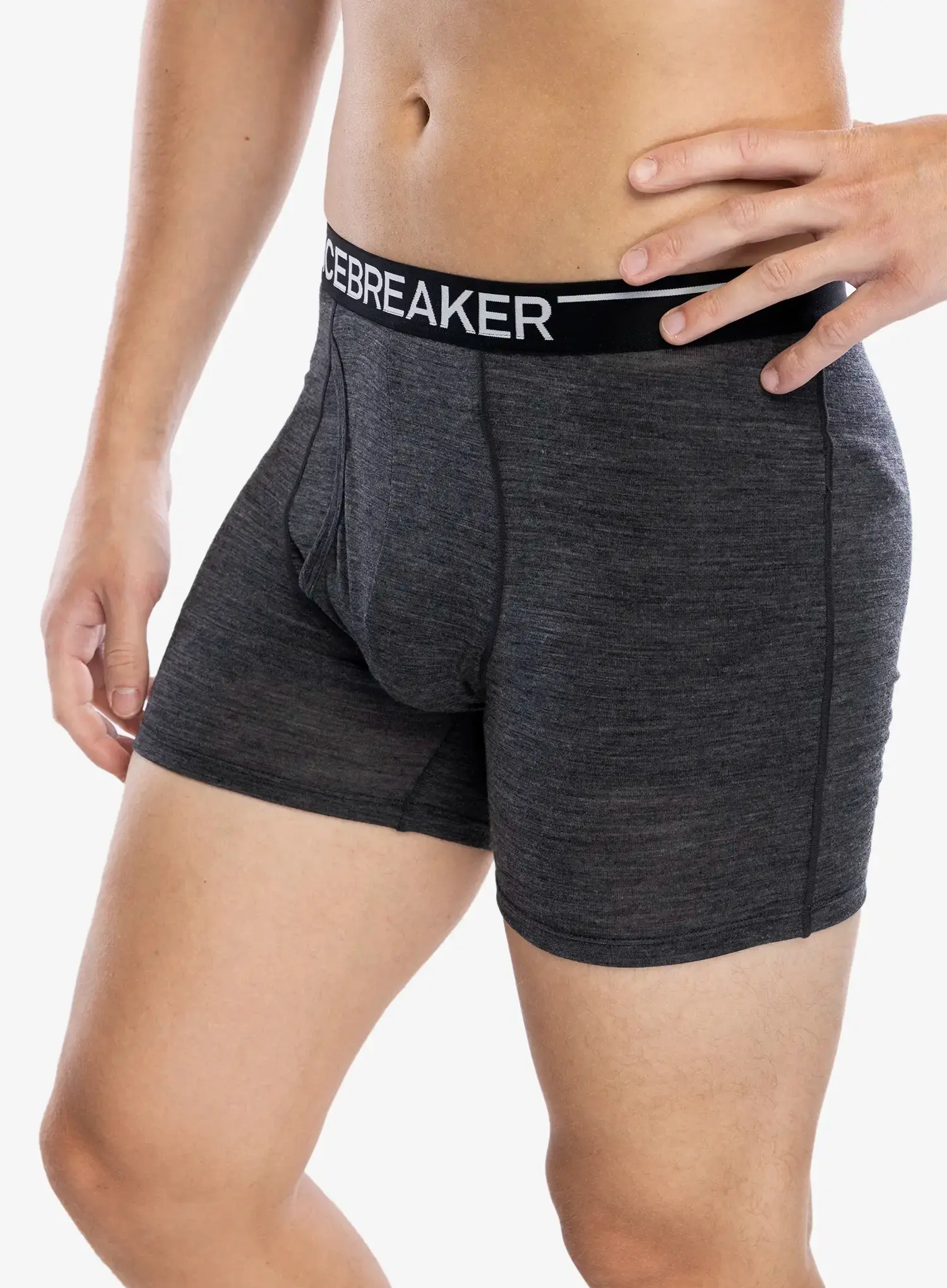 Pánské termoaktivní boxerky Icebreaker Anatomica Boxers wFly - jet