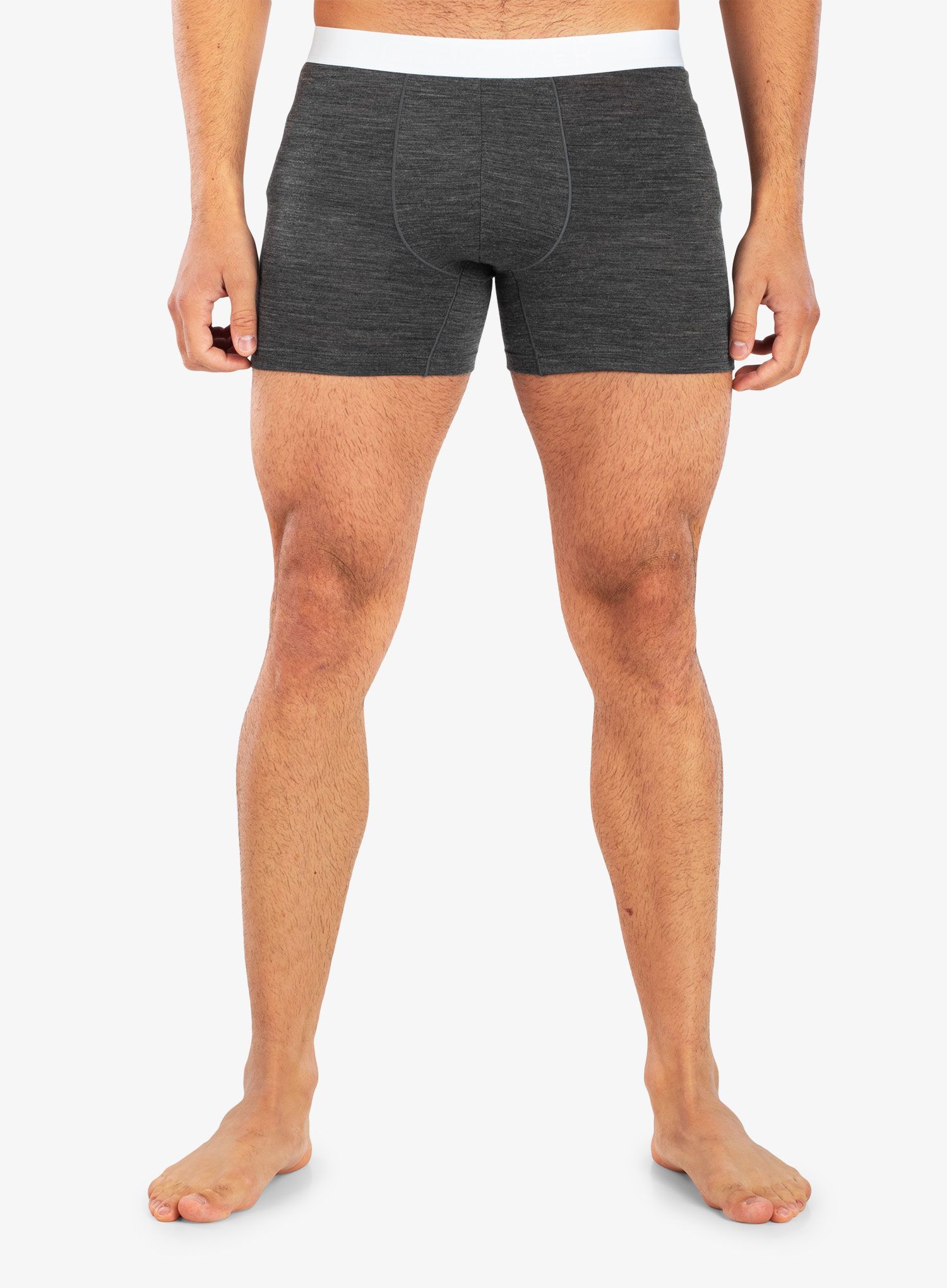 Termoaktivní boxerky Icebreaker Anatomica Cool-Lite Boxers - monsoon