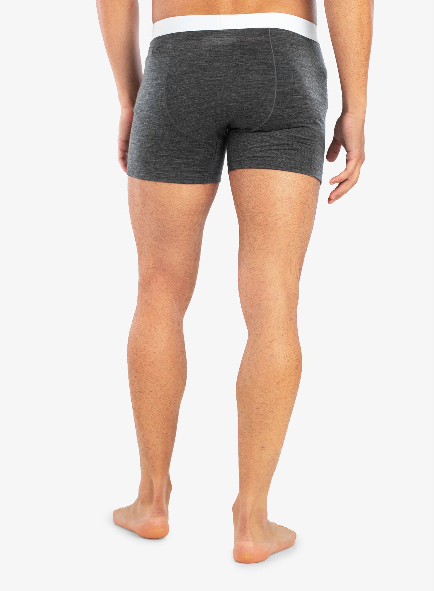Termoaktivní boxerky Icebreaker Anatomica Cool-Lite Boxers - monsoon