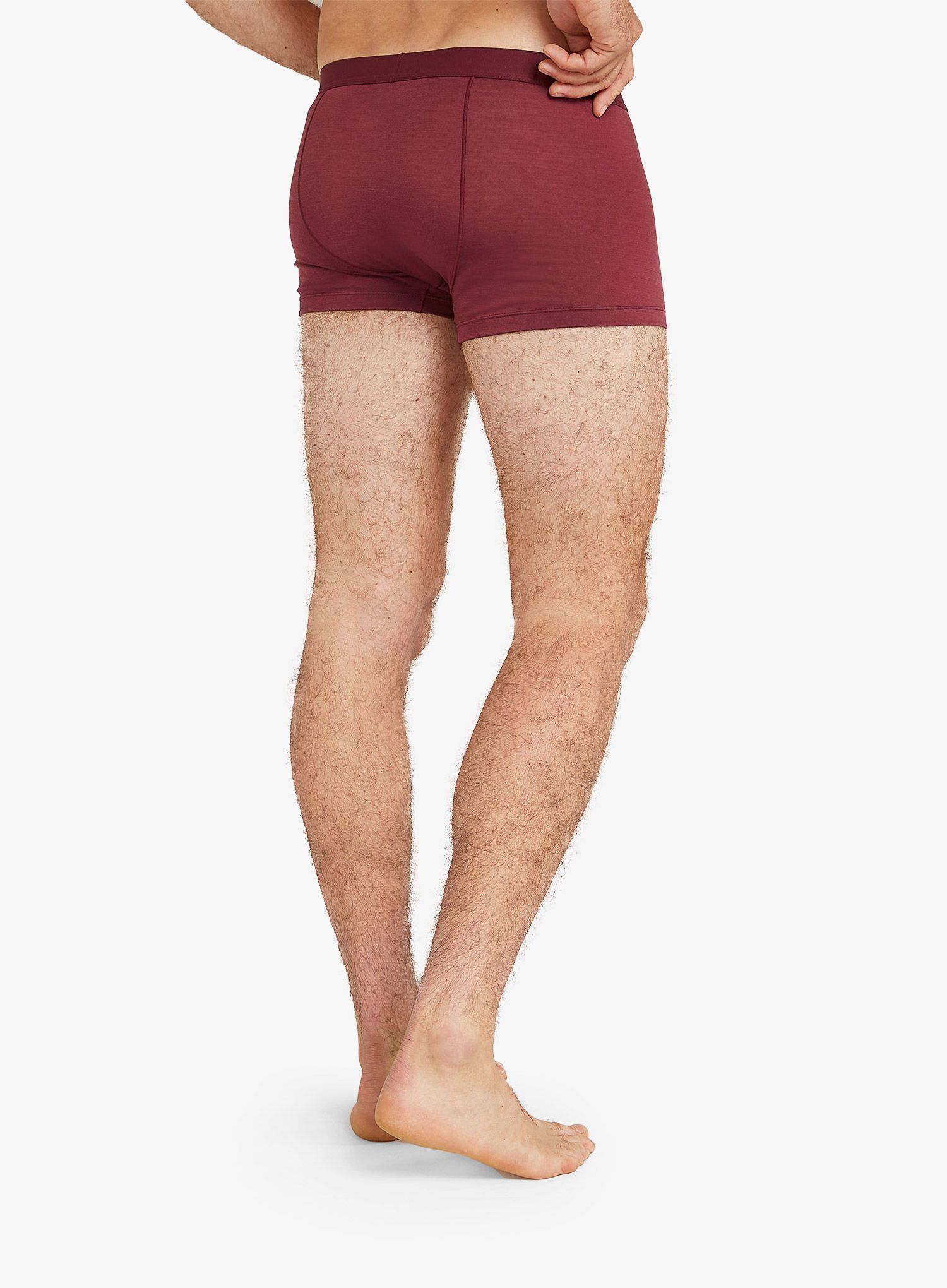 Funkční boxerky Icebreaker Merino 125 Cool-Lite Anatomica Trunks - port