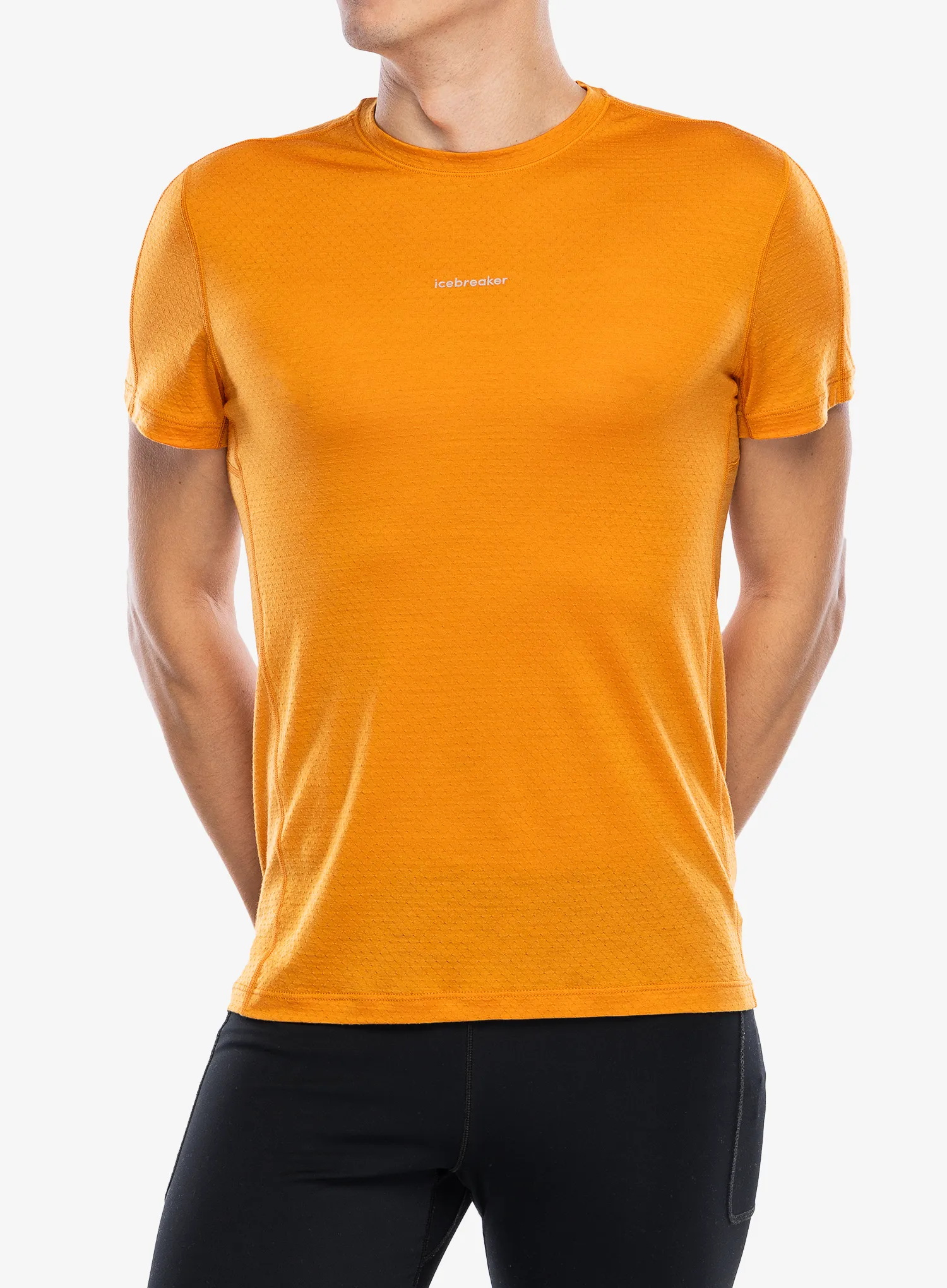 Tričko Icebreaker Merino 125 Cool-Lite Speed SS Tee - ray