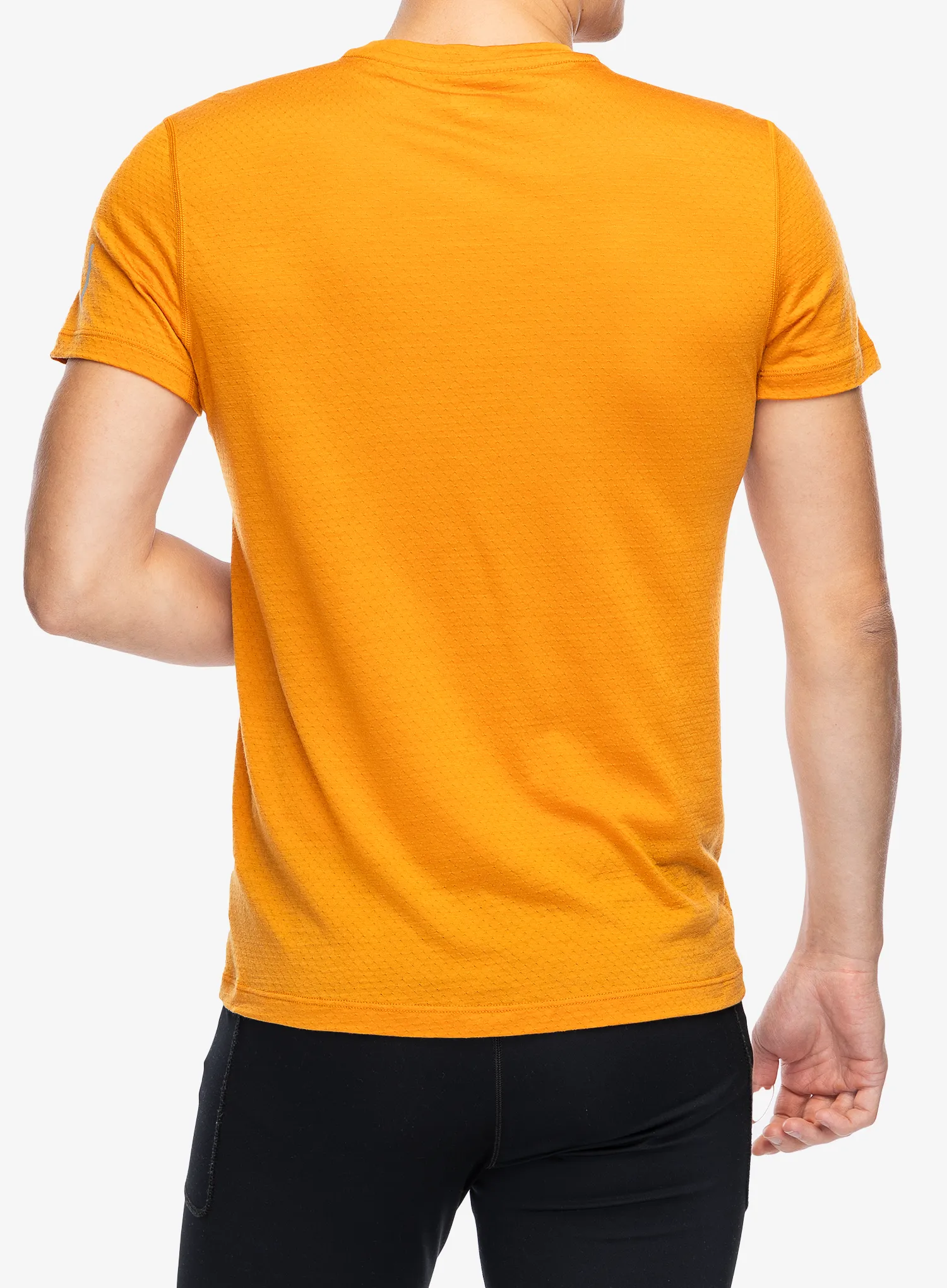Tričko Icebreaker Merino 125 Cool-Lite Speed SS Tee - ray