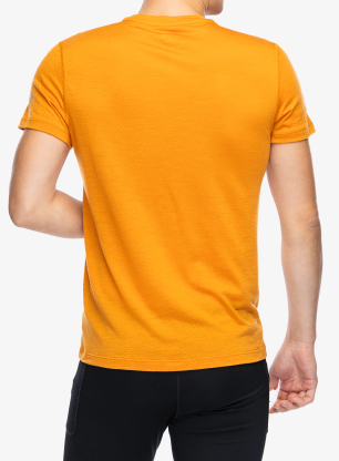 Tričko Icebreaker Merino 125 Cool-Lite Speed SS Tee - ray