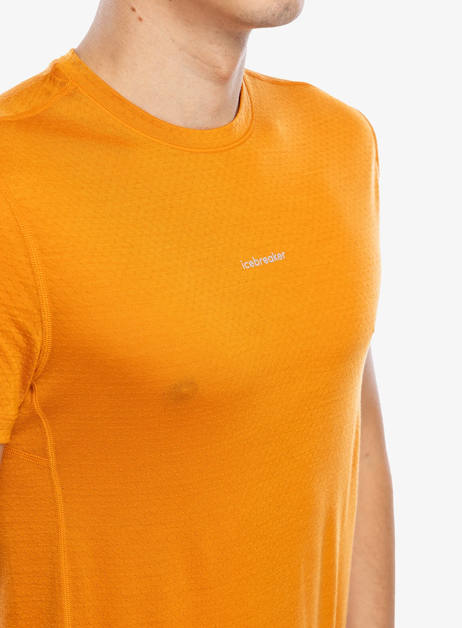 Tričko Icebreaker Merino 125 Cool-Lite Speed SS Tee - ray
