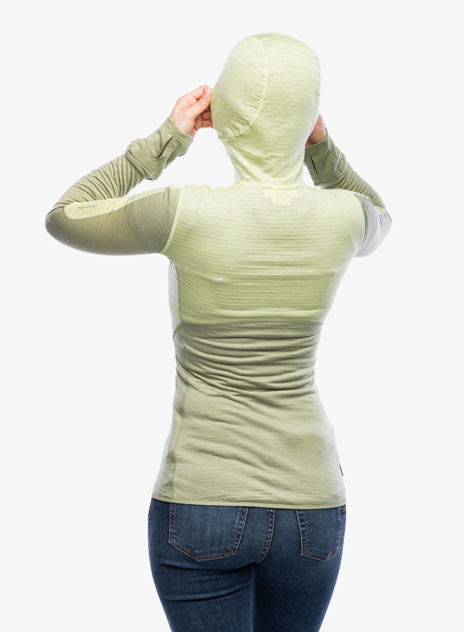 Dámská mikina Icebreaker Merino 200 Realfleece Descender LS Zip Hoodie - glazen/lichen/cb