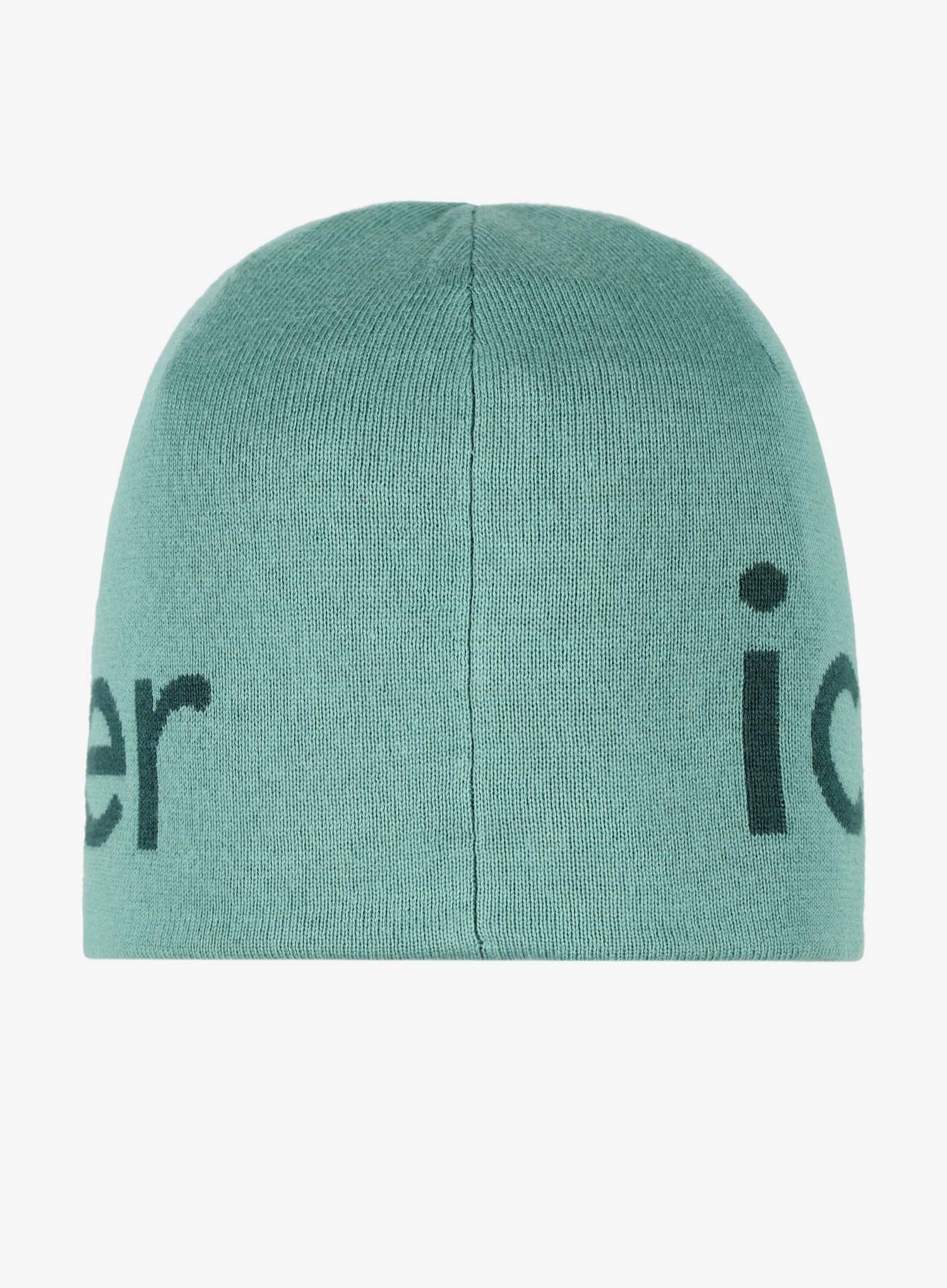 Zimní čepice Icebreaker Merino Icebreaker Beanie - cloud ray/fathom grn