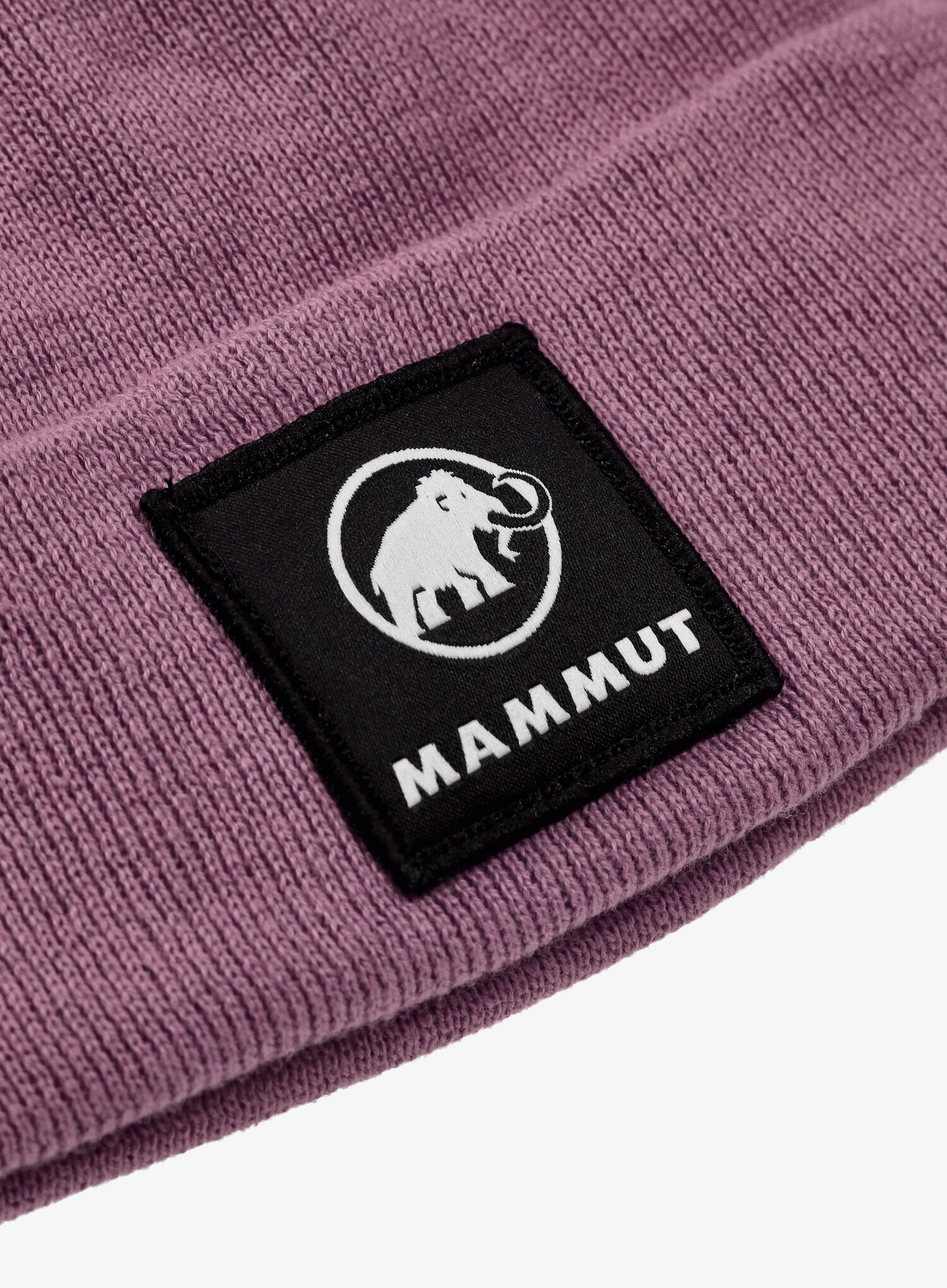 Zimní čepice Mammut Fedoz Beanie - flux