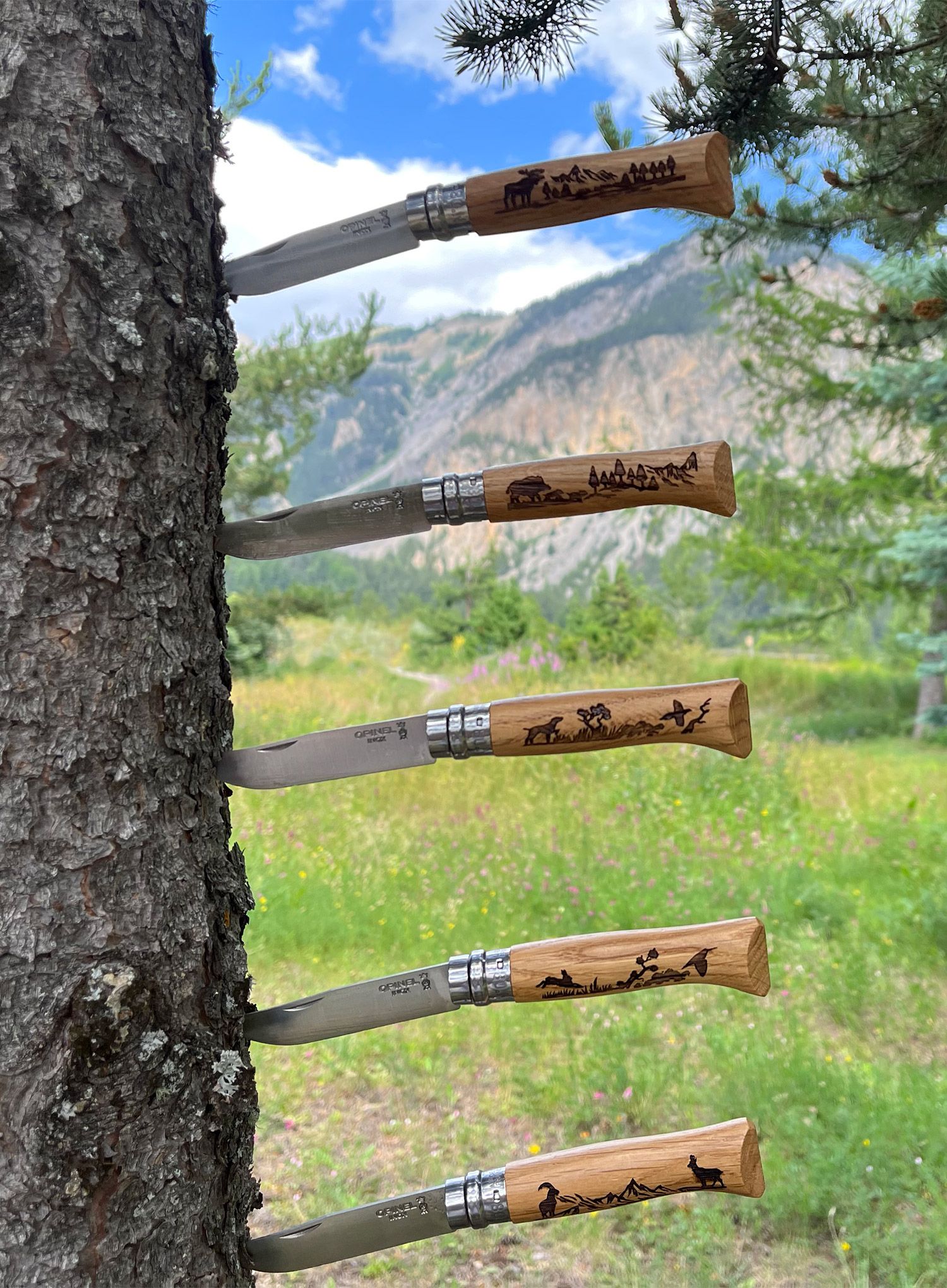 Turistický nůž Opinel Animalia No.08 - wild boar