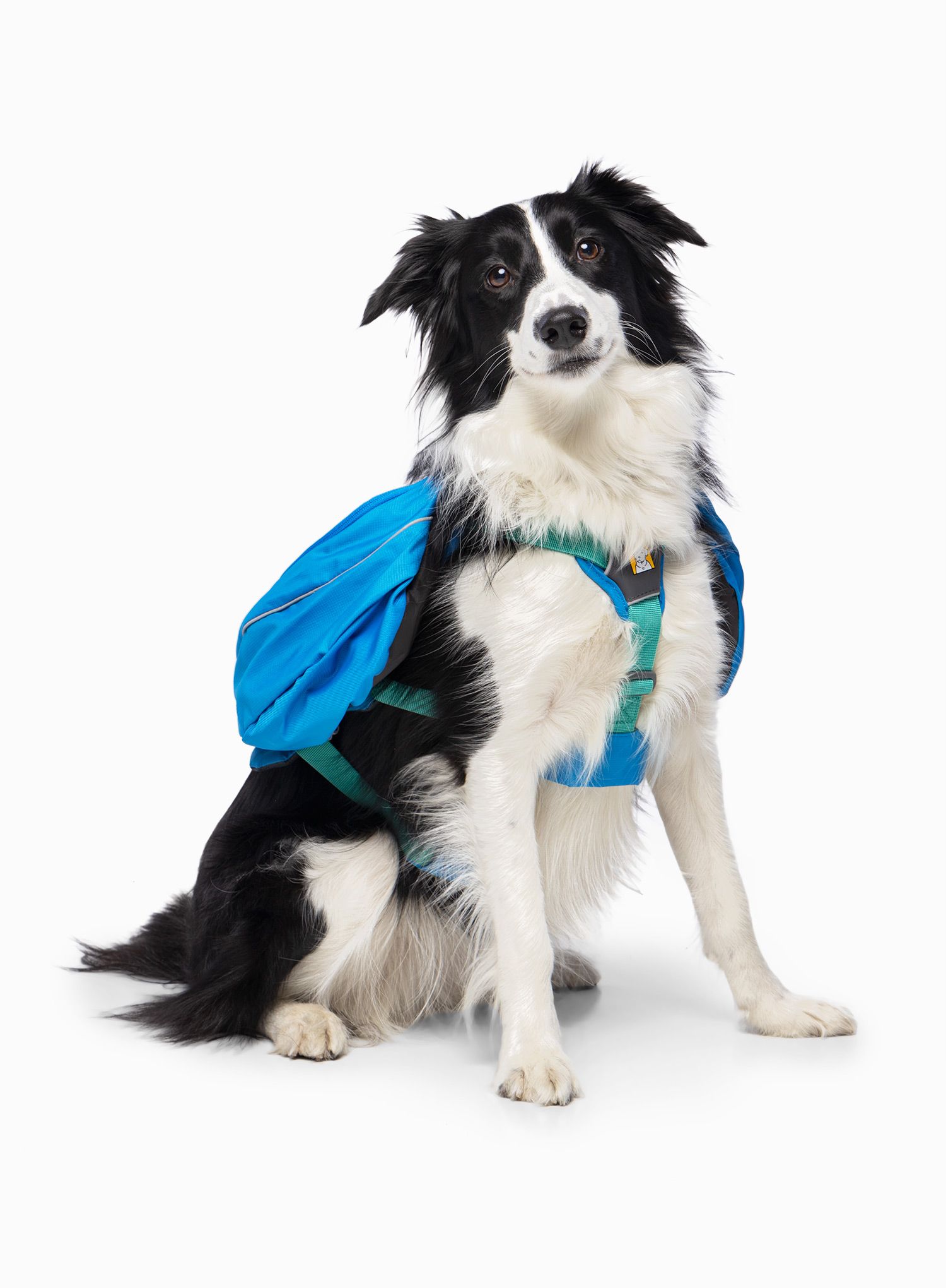 Batoh pro psa Ruffwear Approach Dog Backpack - blue dusk