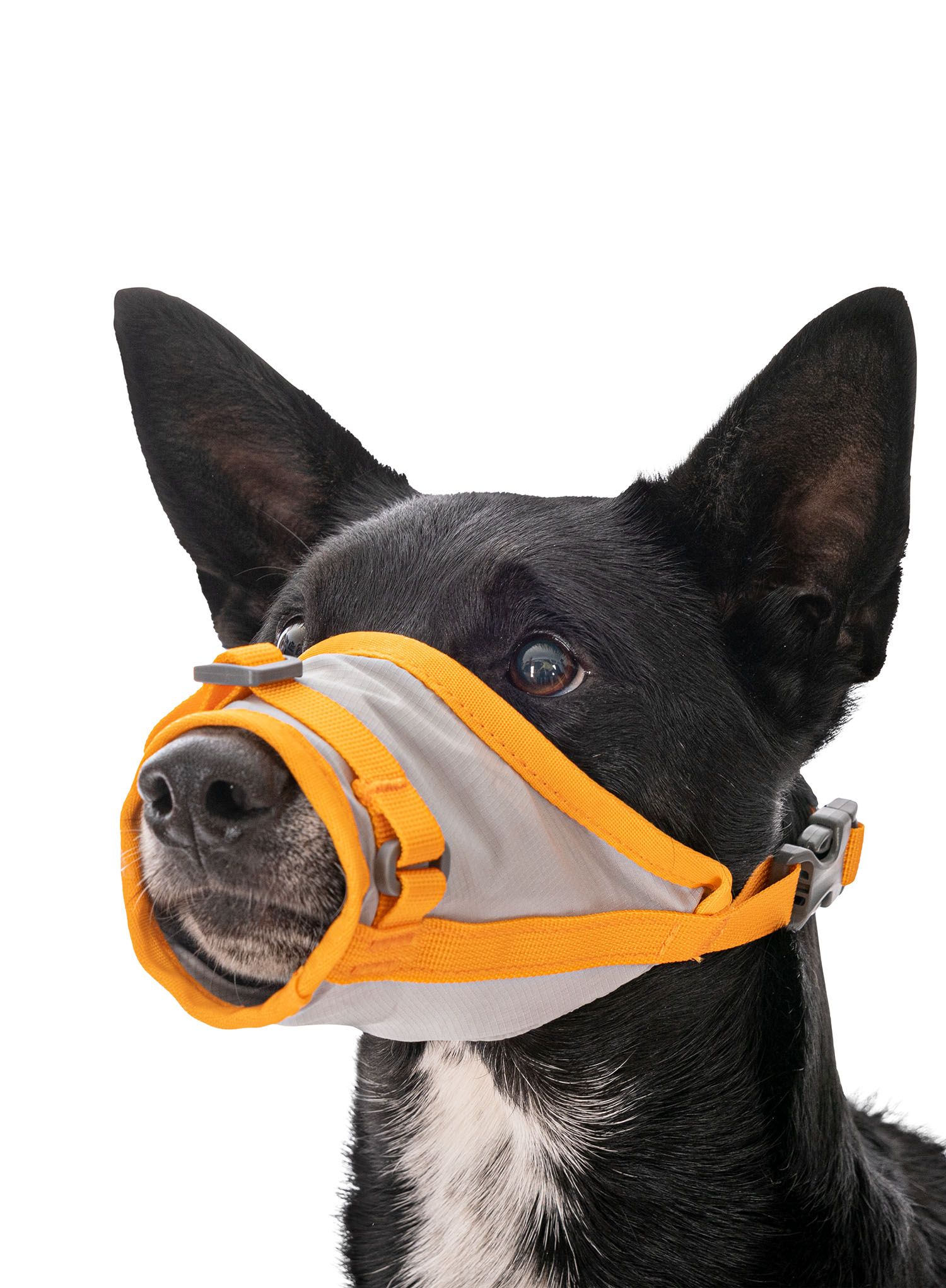 Sada Ruffwear Backtrak Dog Evacuation Kit - cloudburst gray