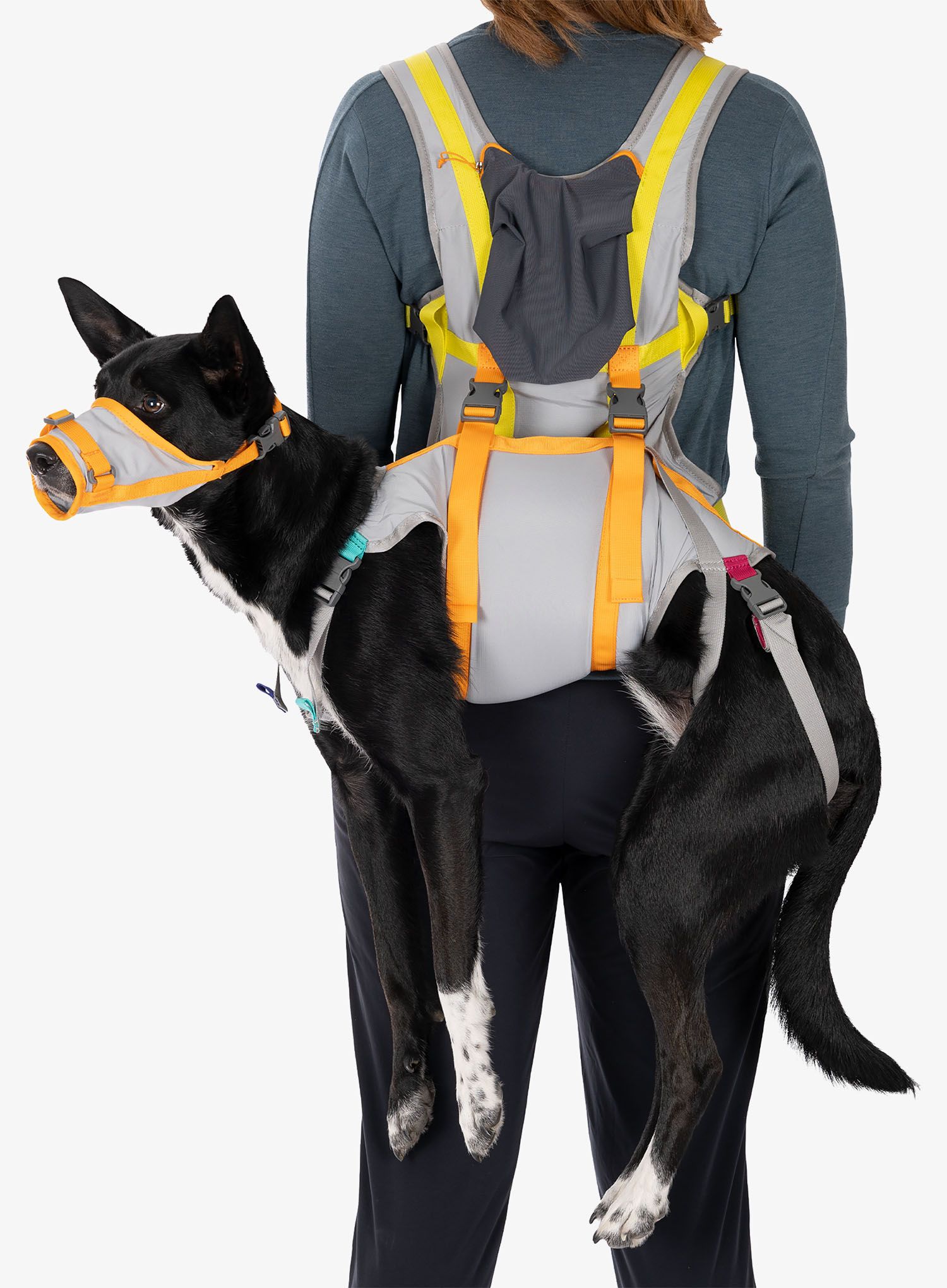 Sada Ruffwear Backtrak Dog Evacuation Kit - cloudburst gray
