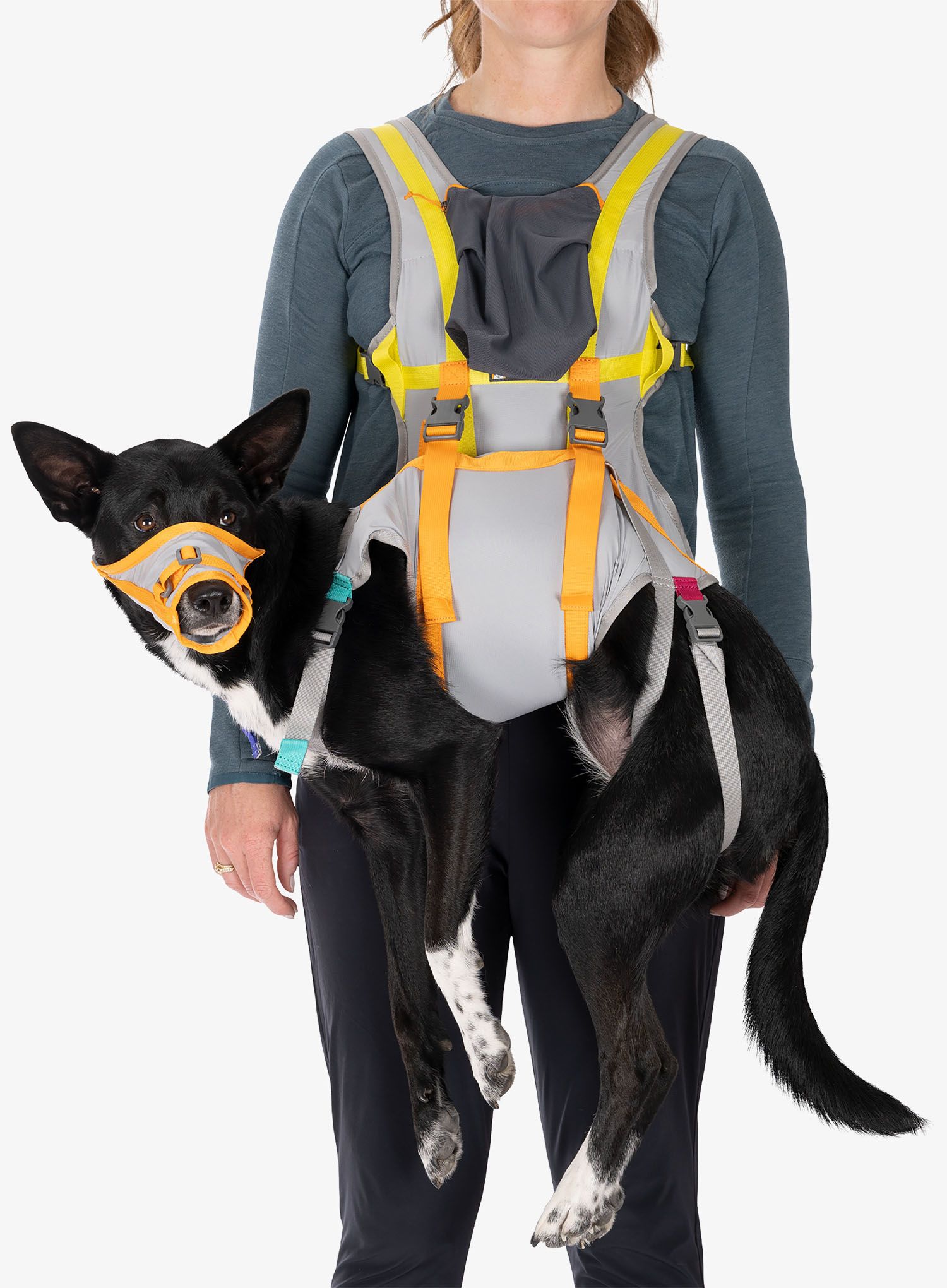 Sada Ruffwear Backtrak Dog Evacuation Kit - cloudburst gray