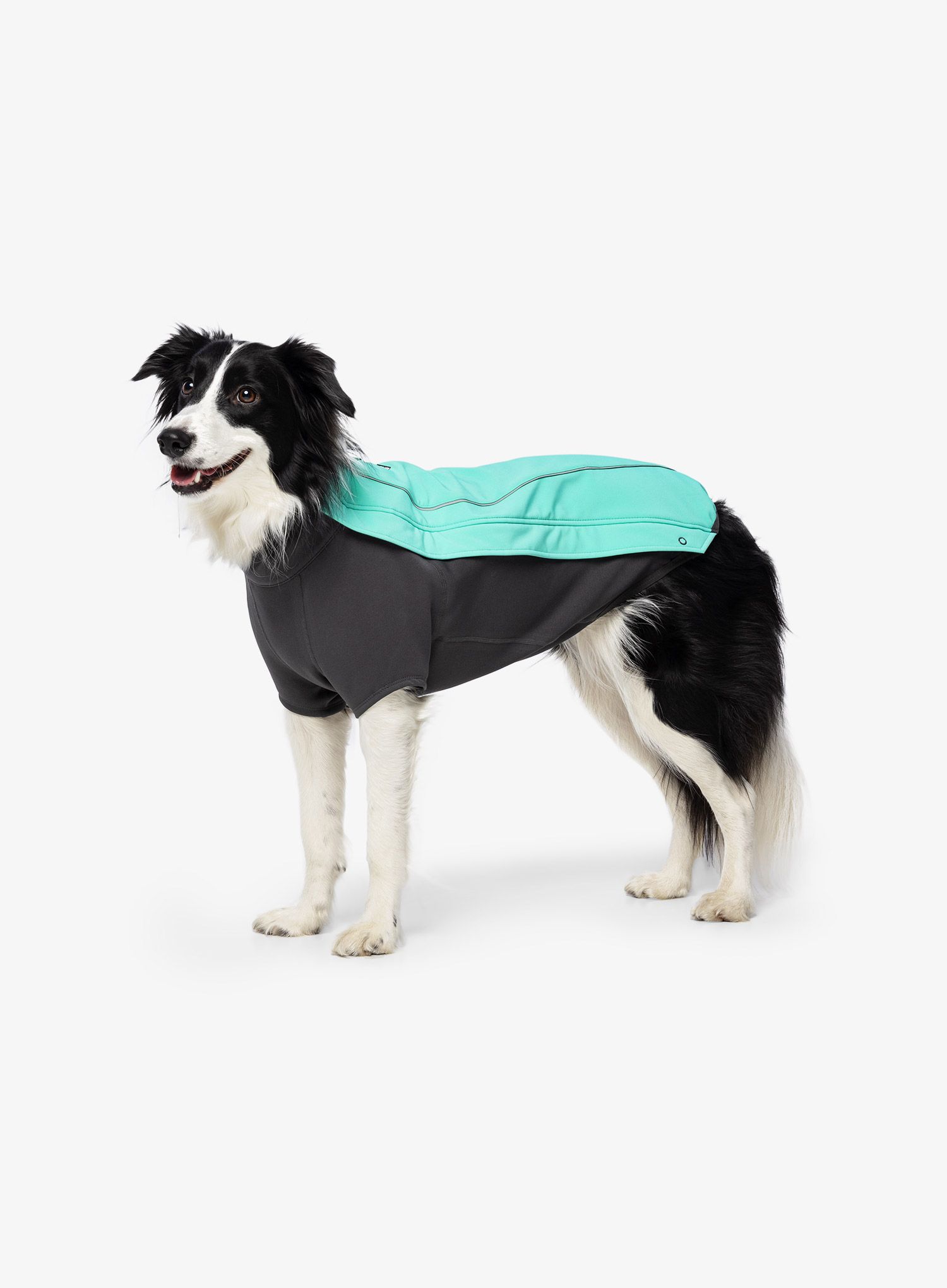 Pláštěnka pro psa Ruffwear Cloud Chaser Dog Jacket - aurora teal